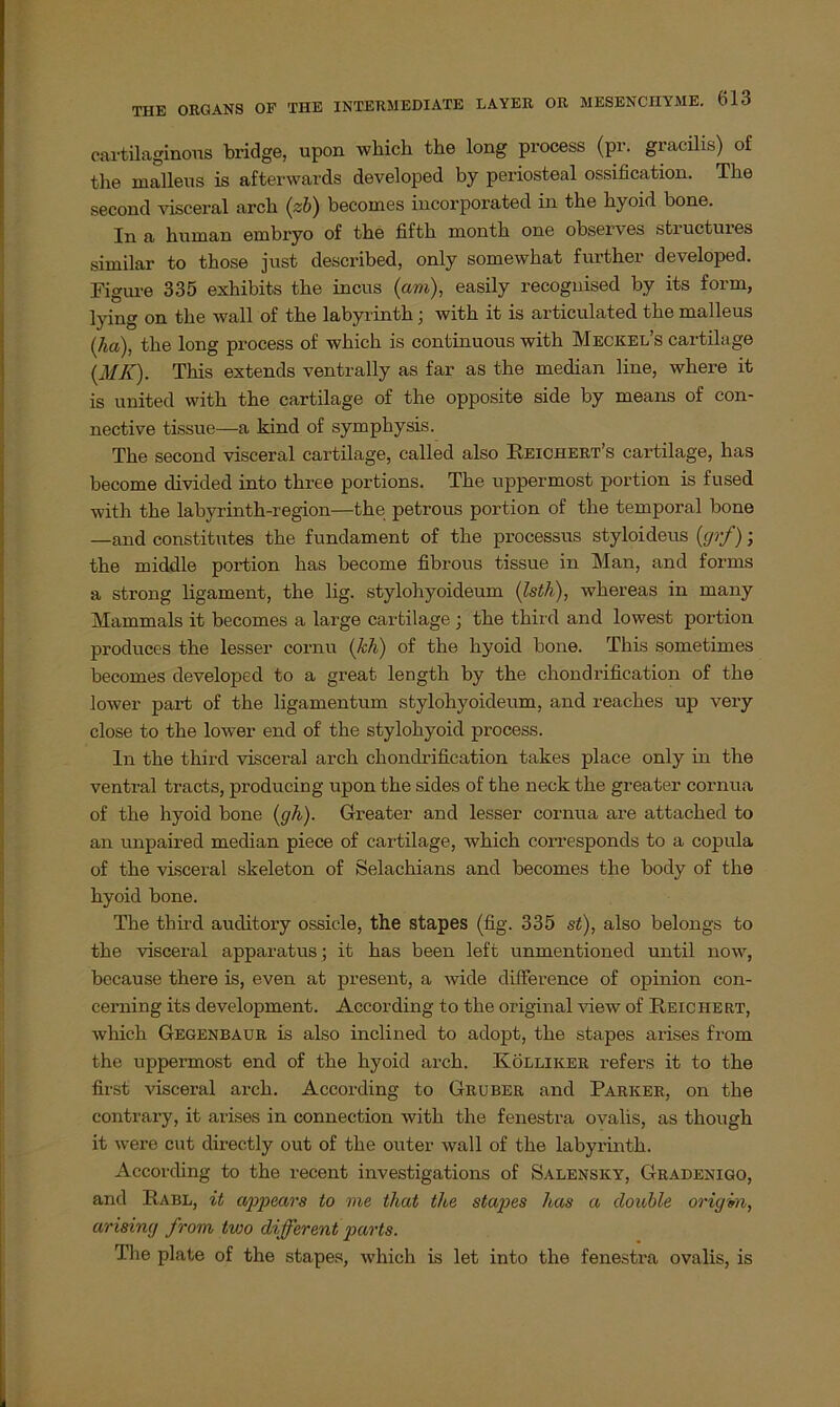 cartilaginous bridge, upon which tbe long process (pr. gracüis) of the malleus is afterwards developed by periosteal ossification. The second visceral arcb (zb) becoines incorporated in the hyoid bone. In a human embryo of the fifth month one obsei\es stiuctuies similar to those just described, only somewhat further developed. Figure 335 exhibits the incus (am), easily recoguised by its form, lying on the wall of the labyrinth; with it is articulated the malleus (ha), the long process of which is continuous with Meckel’s cartilage (MK). This extends ventrally as far as the median line, where it is united with the cartilage of the opposite side by means of con- nective tissue—a kind of symphysis. The second visceral cartilage, called also Reichert’s cartilage, has become clivided into three portions. The uppermost portion is fused with the labyrinth-region—the petrous portion of the temporal bone —and constitutes the fundament of the processus styloideus (grf); the middle portion has become fibrous tissue in Man, and forms a strong ligament, the lig. stylohyoideum (Isth), whereas in many Mammals it becomes a large cartilage j the third and lowest portion produces the lesser cornu (kh) of the hyoid bone. This sometimes becomes developed to a great length by the chondrification of the lower part of the ligamentum stylohyoideum, and reaches up very close to the lower encl of the stylohyoid process. ln the third visceral arch chondrification takes place only in the ventral tracts, producing upon the sides of the neck the greater cornua of the hyoid bone (gh). Greater and lesser cornua are attached to an unpaired median piece of cartilage, which corresponds to a copula of the visceral skeleton of Selachians and becomes the body of the hyoid bone. The third auditory ossicle, the stapes (fig. 335 st), also belongs to the visceral apparatus; it has been left unmentioned until now, because there is, even at present, a wide difference of opinion con- cerning its development. According to the original view of Reichert, which Gegenbaur is also inclined to adopt, the stapes arises from the uppermost end of the hyoid arch. KÖlliker refers it to the first visceral arch. According to Gruber and Parker, on the contrary, it arises in connection with the fenestra ovalis, as though it were cut directly out of the outer wall of the labyrinth. According to the recent investigations of Salensky, Gradenigo, and Rabl, it appears to me that the stapes has a double origin, arising from tv:o different parts. The plate of the stapes, which is let into the fenestra ovalis, is