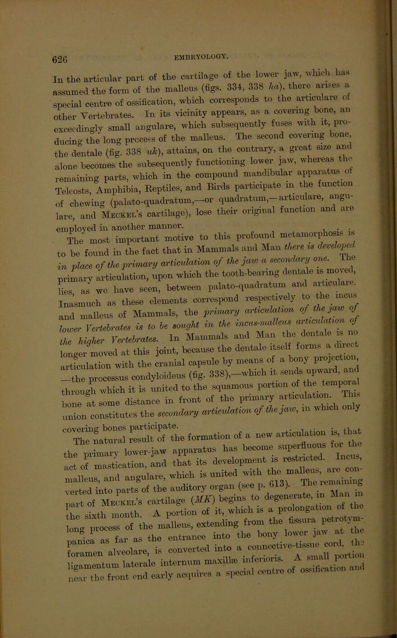 In the articular part of tlie cartilage of the lower jaw, which has assumed the form of the malleus (figs. 334, 338 ha), there ames a special centre of ossification, which corresponds to the articulare cd other Vertebrates. In its vicinity appears, as a covering hone, an exceedingly small angulare, which subsequently fuses with it pro- ducincc the long process of the malleus. The second covering one, the dentale (fig. 338 uh), attains, on the contrary, a great size and alone becomes the subsequently functiomng lower jaw, whereas th« remaining parts, which in the compound mandibular apparatus ot Teleosts, Amphibia, Beptües, and Birds participate in the function of chewing (palato-quadratum, or quadratum,- articulare, angu- lare, and Meckels cartilage), lose their original function and are emploved in another manner. . . The most important motive to this profound metamorphosis m to be found in the fact that in Mammals and Man there is devdoped in place of the primary articulation of the jaw a secondary one. primary articulation, upon which the tooth-beanng dentale is moved, Hes as we liave seen, between palato-quadratum and articulai . Inasmuch as these elements correspond respectively to the mcus and malleus of Mammals, the primary articulation of tlie jaw of lower Vertebrates is to be sought in the incus-malleus articulation of Zku,m Vertebrales. In Mammals and Man ! ■ » 1 onger moved at this joint, because the dentale itsel forms a dne t articulation with the cranial capsule by means of a bony projectioi -—the processus condyloideus (fig. 338),-which it sencb upwa^d an through which it is united to the squamous portion of the temp hone atsome distance in front of the primary articulation Th union constitutes the secondary articulation of the jaw, in which o y covering bones participate. . . .v a The natural result of the formation of a new articulation rs, that the primary lower|aw Incus, angulare, whieh is united nith the' he sixtl. month A portion of it, which rs a Prolongation ot the long^piecess of the „mlleus, extending front the PW.