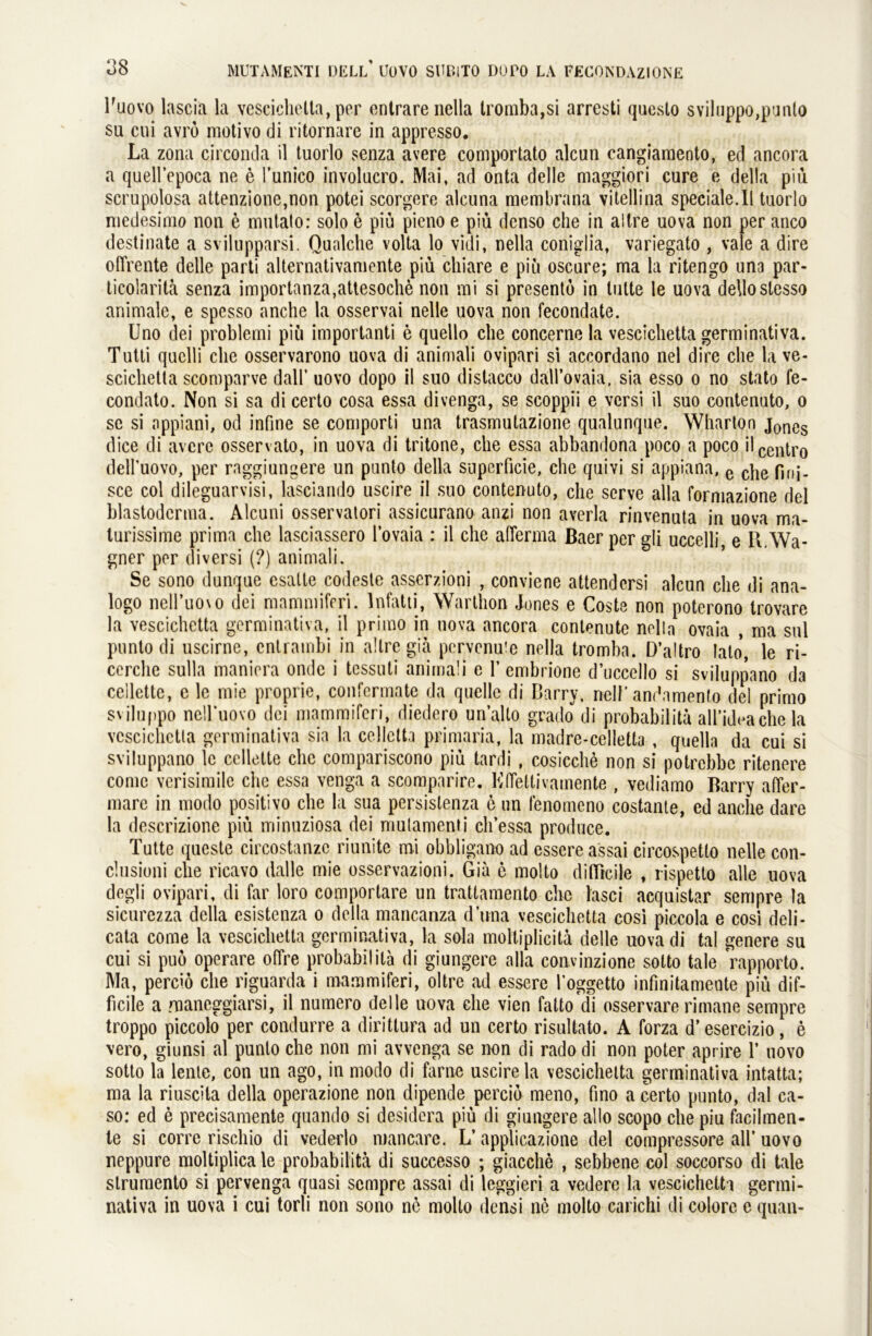 lfuovo lascia la vescichetta, per entrare nella tromba,si arresti questo sviluppo,punto su cui avrö motivo di ritornare in appresso. La zona circonda il tuorlo senza avere comportato alcun cangiamento, ed ancora a quell’epoca ne e l’unico involucro. Mai, ad onta delle maggiori eure e della piü scrupolosa attenzione,non potei scorgere aleuna membrana vitellina speciale.il tuorlo medesimo non e mutato: solo e piu pieno e piü denso che in altre uova non per anco destinate a svilupparsi. Qualche volta lo vidi, nella coniglia, variegato , va e a dire oflrente delle parti alternativaniente piü ciliare e piü oscure; ma la ritengo una par- ticolaritä senza importanza,attesoche non mi si presento in tutte le uova de\lostesso animale, e spesso anche la osservai nelle uova non fecondate. Uno dei problemi piü importanti e quello che concerne la vescichetta germinativa. Tutli quclli che osservarono uova di animali ovipari si accordano nel dire che la ve- sciclietla scomparve dall’ uovo dopo il suo distacco däU’ovaia, sia esso o no stato fe- condato. Non si sa di certo cosa essa divenga, se scoppii e versi il suo contenuto, o sc si appiani, od infine se comporti una trasmutazione qualunque. Wharton Jones dice di avere osservato, in uova di tritone, che essa abbandona poco a poco il Centro dell’uovo, per raggiungere un pnnto della snperficie, che quivi si appiana, e che p,nj. sce col dileguarvisi, lasciando uscire il suo contenuto, che serve alla forniazione del blastodcrma. Alcuni osservatori assicurano anzi non averla rinvenuta in uova ma- lurissime prima che lasciassero l’ovaia : il che aherma Baer per gli uccelli, e R.Wa- gner per di versi (?) animali. Se sono dunque csatte codeste asserzioni , conviene attendersi alcun che di ana- logo neiruo\o dei mammiferi. lnfatti, Warthon Jones e Coste non poterono trovare la vescichetta germinativa, il primo in uova ancora conlenute nella ovaia , ma sul punto di uscirne, entrambi in altre gia pcrvcnuie nella tromba. D’altro lato, le ri- cerclie sulla maniera ondc i tessuti animali e 1’ embrione d’ucccllo si sviluppano da ceilettc, e le mie proprie, confermate da quelle di Barry, nelf’andamento del primo sviluppo neH'iiovo dei mammiferi, diedero un’alto grado di probabilita all’ideache la vcscichctla germinativa sia la cellctta primaria, la madre-celletta , quella da cui si sviluppano le ccllette che compariscono piü tardi , cosicche non si potrebbe ritenere comc verisimile che essa venga a scomparire. Kffeltivamente , vediamo Barry affer- mare in modo positivo che la sua persislenza e un fenomeno costante, ed anche dare la descrizione piü minuziosa dei mulamenfi ch’essa produce. Tutte queste circostanzc riunite mi obbligano ad essere assai circospetto nelle con- clusioni che ricavo (lalle mie osservazioni. Gia e molto difUcile , rispetto alle uova degli ovipari, di far loro comporlare un trattamento ehe lasci acquistar sempre la sicurezza della esistenza o della mancanza d’una vescichetta cosi piccola e cosi deli- cata come la vescichetta germinativa, la sola moltiplicitä delle uova di tal genere su cui si puö operare offre probabilita di giungere alla convinzione sotto tale Yapporto. Ma, perciö che riguarda i mammiferi, oltre ad essere l’oggetto infinitamente piü dif- ficile a maneggiarsi, il numero delle uova che vien fatto di osservare rimane sempre troppo piccolo per condurre a dirittura ad un certo risultato. A forza d’esereizio, e vero, giunsi al punto che non mi avvenga se non di rado di non poter aprire 1’ uovo sotto la lente, con un ago, in modo di farne uscire la vescichetta germinativa intatta; ma la riuscila della operazione non dipende percio meno, fino a certo punto, dal ca- so: ed e precisamente quando si desidera piü di giungere allo scopo che piu facilmen- te si corre rischio di vederlo mancare. L’ applicazione del compressore all’ uovo neppure moltiplica le probabilita di successo ; giacche , sebbene col soccorso di tale strumento si pervenga quasi sempre assai di leggieri a vedere la vescichetta germi- nativa in uova i cui torli non sono ne molto densi ne molto carichi di colore c quan-