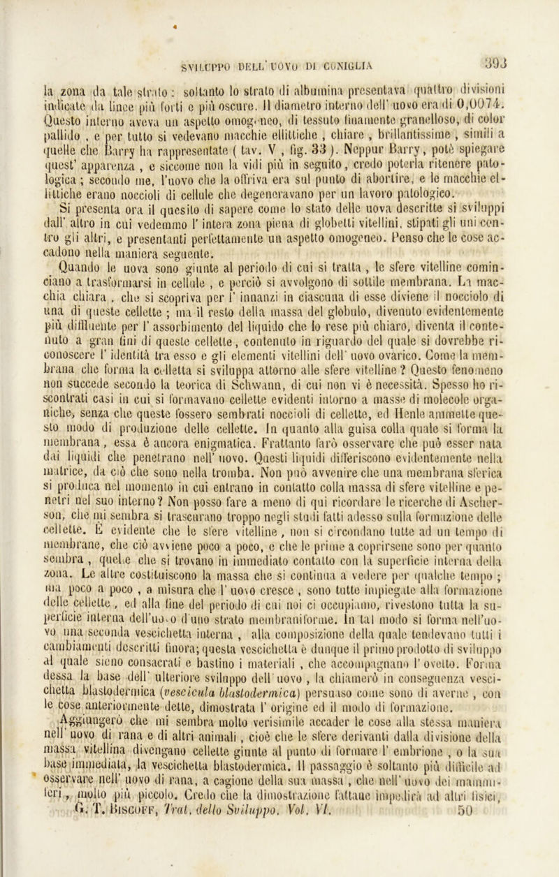 ia zona da tale strato : soltanto lo strato di albumina prcsentava quattro divisioni indicate da lince piü forti o piü oscare. 11 diametro interno doll’ uovo era di 0,0074. Questo inlerno aveva un aspelto omog. neo, di tessuto Imamente grandiose, di color pallido , e per tutto si vedevano macchie ellittiehe , ciliare , brillantissime , siiniii a quelle che Barry ha rappresentate ( tav. V , hg. 33). Neppur Barry, potö spiegare quest’ apparenza , e siccotne non la vidi piü in seguito, credo poterla ritencre pato- logica ; secondo me, l’uovo che Ja offriva era sul punto di abortire, e 1c macchie el- littiche erano noceioli di cellule che degeneravano per un lavoro palologieo. Si presenta ora il quesilo di sapere come lo stato dellc uova deseritte si sviluppi dalF altro in cui vedemmo 1’ intera zona piena di globetti vitellini, stipati gli uni con- tro gli altri, e presentanti perfettamente un aspelto omogeneo. Pensoche lccoseac- cadono nella maniera seguenle. Quando le uova sono ginnte al periodo di cui si tralta , le sfere vitelline comin- ciano a trasformarsi in cellule , e perciö si avvolgono di solide membrana. La mac- cliia chiara , che si scopriva per 1’ innanzi in ciascuna di esse diviene il nocciolo di una di queste cellette ; ma il reslo della massa del globnlo, divenuto evidentemente piü diffluelite per 1’ assorbimento del liquido che Io rese piü chiaro, diventa il conte- nuto a grau (ini di queste cellette, contenulo in riguardo del quäle si dovrebbe ri- conoscere 1’ identila tra esso e gli elementi vitellini dell* uovo ovarico. Coine la mem- brana che forma la cellelta si sviluppa attorno alle sfere vitelline ? Questo fenomeno non succede secondo la teorica di Schwann, di cui non vi ü necessitä. Spesso ho ri- sconlrali casi in cui si formavano cellette evidenti intorno a massedi molecole orga- ßiche> senza che queste fossero sembrati noceioli di cellette, ed Henle ammelte que- sto modo di produzione delle cellette. In quanto alla guisa colla quäle si forma la membrana, essa 6 ancora enjgniatica. Frattanto faro osservare che puo esser nata dai liquidi che penetrano nell’ uovo. Questi liquidi differiscono evidentemente nella malrice, da cio che sono nella tromba. Non puo avvenireche una membrana slerica si produca nel momento in cui enlrano in contatto colla massa di sfere vitelline e pe- netri nel suo inlcrno? Non posso l'are a meno di qui ricordare le ricerche di Asclier- son, che nii sembra si trascurano troppo negli studi fatti adesso sulla formazione delle cellette. L evidente che le sfere vitelline, non si c:rcondano lulle ad un tempo di membrane, che cio awiene poco a poco, e che le prime acoprirscne sono per quanto sembra , quebe che si trovano in immediato contatto con la superficie interna della zona. Le altro costituiscono la massa che si conlinua a vedere per (pialche tempo ; ma poco a poco , a misura che 1’ uo\o cresce , sono tutte impiegate alla formazione delle cellette, ed alla (ine del periodo di cui noi ci occupiumo, riveslono tutta la su- perlicie interna dell’uovo d nno strato membranifonne. ln tal modo si forma nell’uo- vo una seconda vescichetta interna , alla composizione della quäle tendevano lutli i earnbiamenti dcscritti (inora; questa vescichetta e dunque il primo prodotlo di sviluppo al quäle sieno consacrati e bastino i materiali , che accotnpagnano l’ovelto. Forma dessa la base dell' ulteriore sviluppo dell uovo , la chiamero in conseguenza vesci- chetta blaslodermica (vescicula bluslodermica) persuaso couie sono di averne , con le cose anteriormente dette, dimostrata 1’ origine cd il modo di formazione. Aggiungerö che mi sembra molto verisimile accader le cose alla stessa maniera nell uovo di rana e di altri animali, cioe che le sfere derivauti dalla divisione della massa vitellina divengano cellette giunte al punto di formare 1’ embrione , o la sua base immediata, la vescichetta blastodermica. 11 passaggio e soltanto piü didioile ad osservare nell’ uovo di rana, a cagione della sua massa , che nell’ uovo dei mammi- leri, molto piü piccolo. Credo che la dimostrazione tattaue impedirä ad altri iisici, C. T. Bisco ff, Trat, dello Sviluppo. Vol. VI. 50