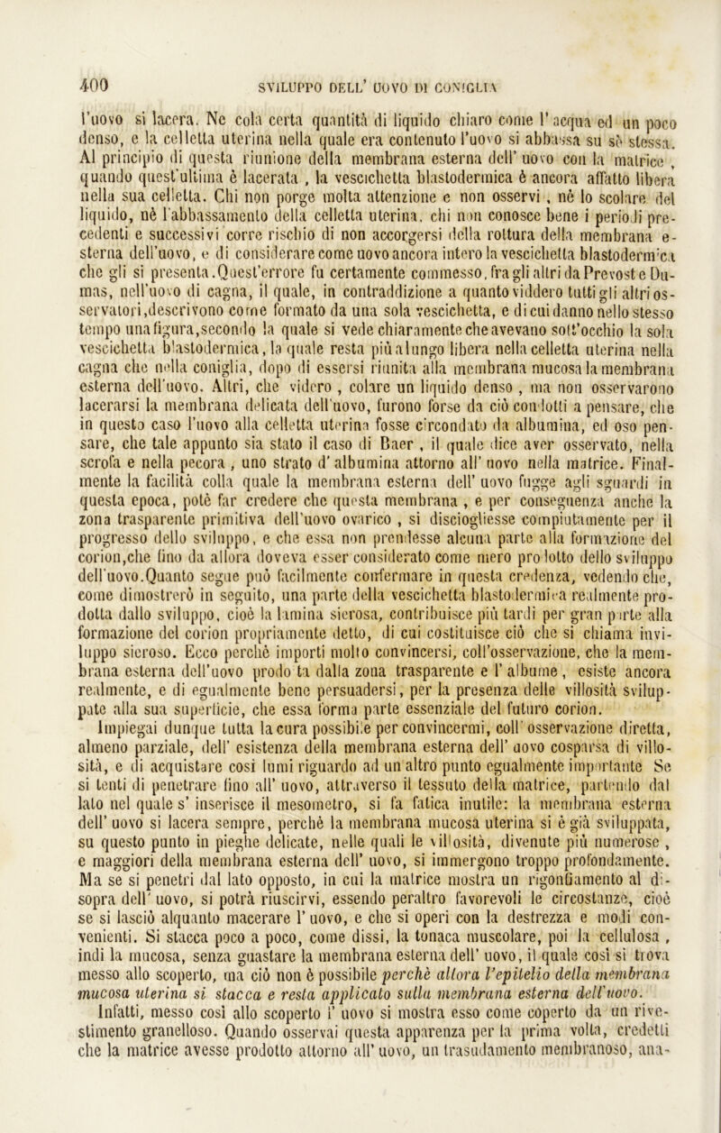 i’uovo st lacera. Ne cola certa quantita di liqnido cliiaro come 1* acqaa ed un poco denso, e la celletta uterina nella quäle era contenuto l’uovo si abbassa su so slessa. Al principio di questa riunione della membrana esterna dell’ uovo con la malrice , quando quest ultima e lacerata , la veseicbeüa blastodermica 6 ancora affatto übera nella sua celletta. Chi non porge molta attenzione e non osservi , ne lo scolare del liquido, nö l'abbassamenlo della celletta uterina, chi non conosce bene i perioJi pre- cedenti e successivi corre riscbio di non accorgersi della rottura della membrana e- sterna dell’uovo, e di considerare come uovo ancora intero la vesciclietla blastoderm:ca che gli si presenta.Quest’errore fu certamente commesso,fraglialtridaPrevoste Du- mas, nell’uovo di cagna, il quäle, in contraddizione a quanto viddero tuttigli altrios- servatori,descrivono corne formato da una sola vescichetta, e dicuidanno nellostesso tempo unatigura,secondo la quäle si vede chiaramentecheavevano sott’occhio la sola vescichetta blastodermica, la quäle resta piualungo übera nella celletta uterina nella cagna che nella coniglia, dopo di essersi riunita alla membrana mucosa la membrana esterna dell’uovo. Altri, che videro , colare un liquido denso , ma non osservarono lacerarsi la membrana delicata delluovo, l’urono forse da cio con lotti a pensare, che in questo caso l’uovo alla celletta uterina fosse circondato da albumina, ed oso pen- sare, che tale appunto sia stato il caso di ßaer , il quäle dice aver osservato, nella scrofa e nella pecora , uno strato d’ albumina attorno all’ uovo nella matrice. Final- mente la facilita colla quäle la membrana esterna dell’ uovo fugge agli sguardi in questa epoca, pote far credere che questa membrana , e per conseguenza anche la zona trasparente primitiva dell’uovo ovarico , si disciogüesse compiutamente per il progresso dello svilnppo, e che essa non prendesse alcuna parte alla formaziorie del corion,che fino da allora doveva esser considerato come mero pro lolto dello svilnppo dell uovo.Quanto segue puö facilmente corrfermare in questa credenza, vedendo che, eome dimostrerö in seguito, una parte della vescichetta blastodermica realmente pro- dolta dallo svilnppo, cioe la lamina sierosa, contribuisce piü tardi per gran pirte alla formazione del corion propriamente detto, di cui costituisce ciö ehe si chiama invi- luppo sieroso. Feco perche importi molto convincersi, coll’osservazione, che la mem- brana esterna dell’uovo prodo ta dalla zona trasparente e 1’ albume , esiste ancora realmente, e di eguaimente bene persuadersi, per la presenza clelle villositä svilup- pate alla sua superticie, che essa forma parte essenziale del futuro corion. lmpiegai dunque tutta lacura possibiie per convinccrmi, coli’osservazione diretta, almeno parziale, dell’ esistenza della membrana esterna dell’ uovo cosparsa di villo- sitä, e di acquistare cosi lumi riguardo ad un altro punto eguaimente importante Se si Lenti di penetrare (ino all’ uovo, attraverso il tessuto della matrice, parlendo dal lato nel quäle s’ inserisce il mesometro, si fa fatica inutile: la membrana esterna dell’ uovo si lacera sempre, perche la membrana mucosa uterina si e giä sviluppata, su questo punto in pieghe delicate, nelle quali le villositä, divenute piu numerose , e maggiori della membrana esterna dell’ uovo, si immergono troppo profondamente. Ma se si penetri dal lato opposto, in cui la matrice moslra un rigonßamento al di- sopra deir uovo, si poträ riuscirvi, essendo peraltro favorevoli le circoslanze, cioe se si lasciö alquanto macerare l’uovo, e che si operi con la destrezza e modi con- venienti. Si stacca poco a poco, come dissi, la tonaca muscolare, poi Ja cellulosa , indi la mucosa, senza guastare la membrana esterna dell’ uovo, il quäle cosi si trova messo allo scoperto, ma ciö non ö possibile perche allora Vepitelio della membrana mucosa uterina si stacca e resta applicato sulla membrana esterna dell'uovo. lnfatti, messo cosi allo scoperto 1’ uovo si mostra esso come eoperto da un rive- stimento granelloso. Quando osservai questa apparenza per la prima volta, credetli che la matrice avesse prodotto attorno all’uovo, un trasudamento menibranoso, ana-