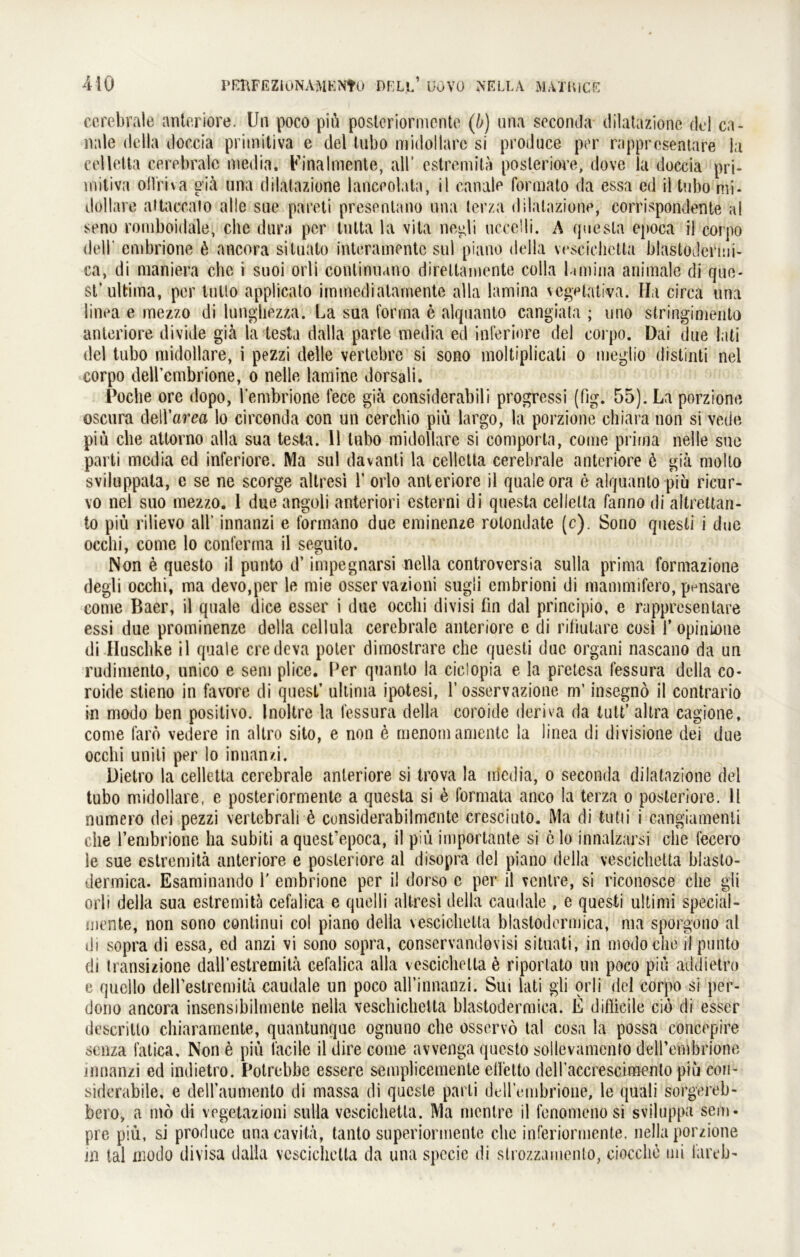 cerebrale anteriore. Un poco pih posteriormente (b) una seconda dilatazione del ca- nale della doccia primitiva e del tubo midollarc si produce per rappresentare ia celletta cerebrale media. Finalmente, all’ estremitä posteriore, dove la doccia pri- mitiva ollriva giä una dilatazione lanceolata, il canale formato da essa ed il tubo mi- döllare attaccalo alle sue pareti presentano una terza dilatazione, corrispondente al seno romboidale, che dura per tntta la vita negli uccelli. A questa epoca il corpo dell' embrione ö ancora situato interamentc sul piano della vesciehctta blastodenui- ca, di maniera che i suoi orli continuano direltamente colla lamina animale di que- st’ ultima, per lullo applicato immedialamente alla lamina vegetativa. Ha circa una linea e mezzo di lunghezza. La saa forma e alquanlo cangiata ; uno stringimento anteriore divide gia la testa dalla parte media ed inferiore del corpo. Dai due lati del tubo midollare, i pezzi delle vertebre si sono moltiplicali o meglio distinti nel corpo dellembrione, o nelle lamine dorsali. Poche ore dopo, l’embrione fece gia considerabili progressi (fig. 55). La porzione oscura dell’area lo circonda con un cerchio piu largo, la porzione ehiara non si vede piu che attorno alla sua testa. 11 tubo midollare si comporta, come prima nelle sue parti media ed inferiore. Ma sul davanti la celletta cerebrale anteriore 6 gia molto sviluppata, e se ne scorge altresi 1’ orlo anteriore il quäle ora e alquanlo piu ricur- vo nel suo mezzo. 1 due angoli anteriori esterni di questa celletta fanno di altrettan- to piu rilievo all’ innanzi e formano due eminenze rolondate (c). Sono questi i due occlii, come lo conferma il seguito. Non 6 questo il punto d’ impegnarsi nella controversia sulla prima formazione degli occlii, ma devo,per le mie osservazioni sugli embrioni di mammifero, pensare come Baer, il quäle dice esser i due occlii divisi (in dal principio, e rappresentare essi due prominenze della cellula cerebrale anteriore e di rifiutarc cosi l’opinione di Iluschke il quäle credeva poler dimoslrare che questi due organi nascano da un rudimento, unico e sem plice. Per quanto la ciclopia e la pretesa lessura della co- roide slieno in favore di quest’ ultima ipotesi, 1’osservazione m’ insegnö il contrario in modo ben positivo. Inoltre la lessura della coroide deriva da tutt’ altra cagione, come faro vedere in altro sito, e non d menomamentc la linea di divisione dei due occlii unili per lo innanzi. Dietro la celletta cerebrale anteriore si trova la iriedia, o seconda dilatazione del tubo midollare, e posteriormente a questa si e formata anco la terza o posteriore. 11 numero dei pezzi vertebrali 6 cunsiderabilmcnte cresciuto. Ma di tutti i cangiamenti che l’embrione ha subiti a quest’epoca, il piu importante si c lo innalzarsi che fecero le sue estremitä anteriore e posteriore al disopra del piano della vesciehctta blasto- dermica. Esaminando 1' embrione per il dorso c per il venire, si riconosce che gli orli della sua estremitä cefalica e quelli altresi della caudale , e questi Ultimi special- mente, non sono continui co! piano della vesciehctta blaslodermica, ma sporgono al di sopra di essa, ed anzi vi sono sopra, conservandovisi situati, in modo che il punto di transizione daU’estremitä cefalica alla vescichellaö riporlato un poco piu addietro e qucllo deirestremitä caudale un poco all’innanzi. Sui lati gli orli del corpo si per- dono ancora insensibilmenle nella veschichetta blastodermica. E diflicile cib di esser descritto chiaramente, quantunque ognuno che osservö tal cosa la possa concepire senza latica, Non 6 piu facile ildire come avvenga questo solievamento dell’embrione innanzi ed indietro. Potrebbe essere semplicemente elletto deiraccrescimento piu con- siderabile, e deiraumento di massa di qucsle parti deH’embrione, le quali sorgereb- bero, a mö di vegetazioni sulla vesciclietla. Ma mentre il fenomeno si sviluppa sem- pre piu, si produce una cavitä, tanto superiormente ehe inferiormente, nella porzione in tal modo divisa dalla vesciehctta da una specie di slrozzamento, ciocche mi 1‘areb-