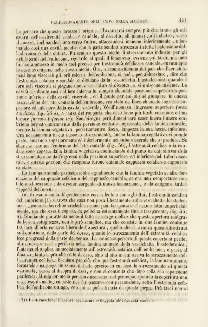 41t Le pensare che queslo dovesse 1’origine allavanzarsi sempre piü che fanno gli orli eStorni delle estremitä cefalica e caudale, al dissolto, all imian/i , all indietio, verso ll rnczzo, inclinandosi uoo verso l’allro, attaccaudosi insieme inferiormente , e for- mando cosi una cavitä mentrc che la parte scmbra stro/zata intuttal’estensioncdel- l’aderenza o dellasutura. Fu sempre questo modo di strozzamento indicato per gli orli laterali dell’embrione, riguardo ai quali il fenomeno avviene piü tardi, ma non fu mai ammcsso in modo cosi preciso per restrcmilä cefalica e caudale, quantunqne le cose avvengano nello stcsso modo. Ora, siccome abbiamo del pari che Baer chia- mati lame viscerali gli orli esterui deH’embrione, si puo , per abbrcviarc , dire che restrcmilä cefalica e caudale si dividano dalla vescichetta blastodermica quando i loro orli viscerali si pirgano uno verso l’altro al dissolto, c si uniscono insieme. La cavitä visu 1 taute cosi nel loro interno fu sempre chiamata porzione superiore c por- zione inferiore della cavitä viscerale , ed il punto per cui si puo giungere in questa eseavazione del lato ventrale dellembrione, era stato da Baer cliianiito ingresso su- periore ed inferiore della cavitä viscerale; WollT nornava l’ingresso superiore jovea cardiaca (lig. 50 a), a causa dei rapporti che esso tieue piü tardi eol euere e l’in- feriore faveola inferior (c). Non bisogua pero dimenlicare esser linora 11utero em- brioue fonnato unicamente dalla porzione centrale ingrossata della lamina animale, mcnlre la lamina vegetativa, perleltamentre liscia, tappezza la sua faccia inferiore. Ora nel momenlo in cui nasce lo strozzamento, anclie la lamina vegetativa vi prende par te, entrando superiormente ed inferiormente nel tubo viscerale che si produce. allora si esamini l’embrione del lato vcutrale (lig. 50), l’estremitä cefalica e la cau- dale sono coperte dalla lamina vegetativa coniinciando dal pnnto in cui si avanzö lo strozzamento cioe dall’ingresso nella por/ione superiore ed inferiore del tubo visce- rale, e queste poczioni che ricoprono lurono chiamate cappuccio cefalico e cappuccio caudale. La lamina animale parteciperebbe egualmente che la lamina vegetativa, alla for- mazione del cappuccio cefalico e del cappuccio caudale, so ora non comportasse una tile modrlicazione , da divenir sorgente di nuova formazionc , c da cangiare tutti i rapporti dell'uovo. lutälti esaminando diligentemeute con la lente e con aghi fini, 1'estrcmitä cefalica dell embrione (1) si trova che essa non posa iiberamente sulla vescichetta blastodcr- mica , come si dovrebbe crederlo e come puo lar pensare 1’ esame fatto superficial- mente, ma che essae coperta da pellicina estremamente fina c trasparente, (lig. 55, a). Studiamio piü attenlamente il fatto si scorge inoltre che questa apertura malgra* do la sua sottigliezza, non e perö semplice, ma che consiste in due laraine continue tra loro all’orlo concavo libero dell’apertura ♦ quello che si avanza quasi allrettanto suU embrione, dalla parte del dorso, quanto lo strozzamento dclf estremitä cefalica fece progressi dalla par te del ventre. La lamina superiore di questa coperta si perde, al di t'upri, verso la periferia nella lamina animale della vescichetta blastodermica , l’interna si applica iminediatamente all’ estremitä cefalica delf embrionc , e passa al dinanzi, tanto sopra che sotto di esso, sino al sito in cui arriva lo strozzamento del - restrcmilä cefalica. E cliiaro per cio, che <jui l’esticinitä cefalica, la lamina animale, formando una piega (inissima nel sito preciso in cui fece lo strozzamento di questa estremitä, passa al disopra di essa, e non si continua che dopo colla sua espansionc perifenca. 11 mig’ior modo per convincersenc, nel principio, quando laeopertura non si estese di molto, consiste nel far passare con precauziono, sotto 1’ estremitä cefa- lica deircmbrionc un ago, con cui si puö ritirarla da questa piega. Piü tardi non si (t) La furma^ione e ancora podibsimo sviluppata ah’esircoiiU <;auJa!<\