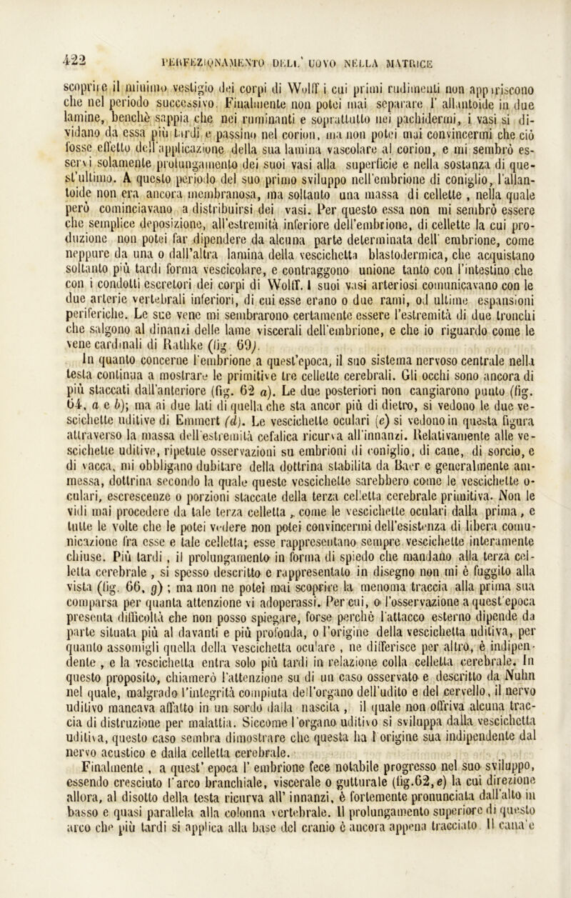 scopriie il miuimo vestigio Jei corpi di Wulff i cui primi rudimeuti nun appiriscono che nel periodo succcssivo. Finalmente non potei mai separare 1’ allantoide in due lamine, benclie sappia che nej rnminanti e sopratlulto nei pachidermi, i vasi si di- vidano da essa piü tardi e passino nel corion, ina non potei mai convincerini che ciö losse efletto dell’applicaziune della sua lamina vascolare al corion, e mi sembrö es- servi solamente prokingamento dei suoi vasi alla supedicie e nella sostanza di que- st’ultimo. A questo periodo del suo prirno sviluppo ncll embrione di coniglio, l’allan- toide non era ancora membranosa, ma sollanto una massa di cellette , nella quäle pero cominciavano a distribuirsi dei vasi. Per questo essa non mi sembrö essere che semplice deposizione, all’estremitä inferiore dell’embrione, di cellette la cui pro- duzionc non potei far dipendere da alcuna parte determinata dell* embrione, come neppure da una o dall’altra lamina della vescichetta blastodermica, che acquistano soltanto piu tardi forma vescicolare, e eontraggono unione tanto con l’intestino che con i condotti cscretori dei corpi di WoltT. 1 suoi vasi arteriosi comunicavano con le due arterie vertebrali inferior», di cui esse erano o due rami, od ulliine espansioni periferiche. Le sue vene mi sembrarono certamente essere Pestremitä di due tronchi che salgono al dinanzi delle lame viscerali dell’embrione, e che io riguardo come le vene cardmali di Ratlike (lig 60;. ln quanto concerne Pembrione a quest’epoca, il suo sistema nervoso centrale nella testa conlinua a moslrare le primitive tre cellette cerebrali. Gli occhi sono ancora di piu staccati dall’anteriore (fig. 62 a). Le due posteriori non cangiarono puuto (hg. 64. a e 6); ma ai due lati di quellache sta ancor piü di dietro, si vedono le due ve- scichette uditive di Emincrt (d), Le vescichetle oculari (e) si vedono in questa figura atlraverso la massa dell'estremitä cefalica ricurva all’innanzi. Relativamente alle ve- scichette uditive, ripetule osservazioni su embrioni di coniglio, di cane, di sorcio, e di vacca. mi obbligano dubitare della dotlrina stabilita da Baer e generalmente am- messa, dottrina secondo la quäle questo vescichelte sarebbero come le vescichelte o- culari, escrescenze o porzioni slaccate della terza celletta cerebrale primitiva. Non le vidi mai procedere da tale terza celletta ^ come le vescichelte oculari dalla prima, e lulle le volte che le potei vcdere non potei convincermidellesisttmza di libera comu- nica/.ione fra esse e tale celletta; esse rappresentano sempre vescichelte interamente chiuse. Piü tardi , il prolungamento in forma di spiedo che mandano alla terza cel- letta cerebrale , si spesso descritto e rappresentato in disegno non mi e fuggito alla vista (hg. 66, g) ; ma non ne potei mai scoprire la menoma traccia alla prima sua comparsa per quanta attenzione vi adoperassi. Per cui, o* losse rvazio ne a quest’epoca preseuta dilhcolla ehe non posso spiegare, forse perche l'attacco esterno dipende da parte situata piü al davanti e piü prol'onda, o Porigine della vescichetta uditiva, per quanto assomigli quclla della vescichetta oculare , ne dilferisce per altro, e indipen- dente , e la vescichetta entra solo piü tardi in relazione colla celletta cerebrale. In questo proposilo, chiamerö Pattenzione su di un caso osservato e descritto da Nuhn nel quäle, malgrado l’integrita compiuta ded’organo dell’udito e del cervello, il nervo udilivo mancava affatto in un sordo dalla nascita , il quäle non olfriva alcuna trac- cia di distruzione per malattia. Siccome l’organo uditivo si sviluppa dalla vescichetta uditiva, questo caso sembra dimostrare ehe questa ha l origine sua indipendente dal nervo acustico e dalla celletta cerebrale. Finahnente , a quest’ epoca P embrione fece notabile progresso nel suo sviluppo, essendo cresciuto Parco branchiale, viscerale o gutturale (lig.62,e) la cui direzione allora, al disotto della testa ricurva all’ innanzi, e fortemente pronunciata dall’alto in basso e quasi parallela alla colonna vertebrale. Il prolungamento superiorc di questo arco che piü tardi si applica alla base del cranio c ancora appena tracciato 11 cana'e