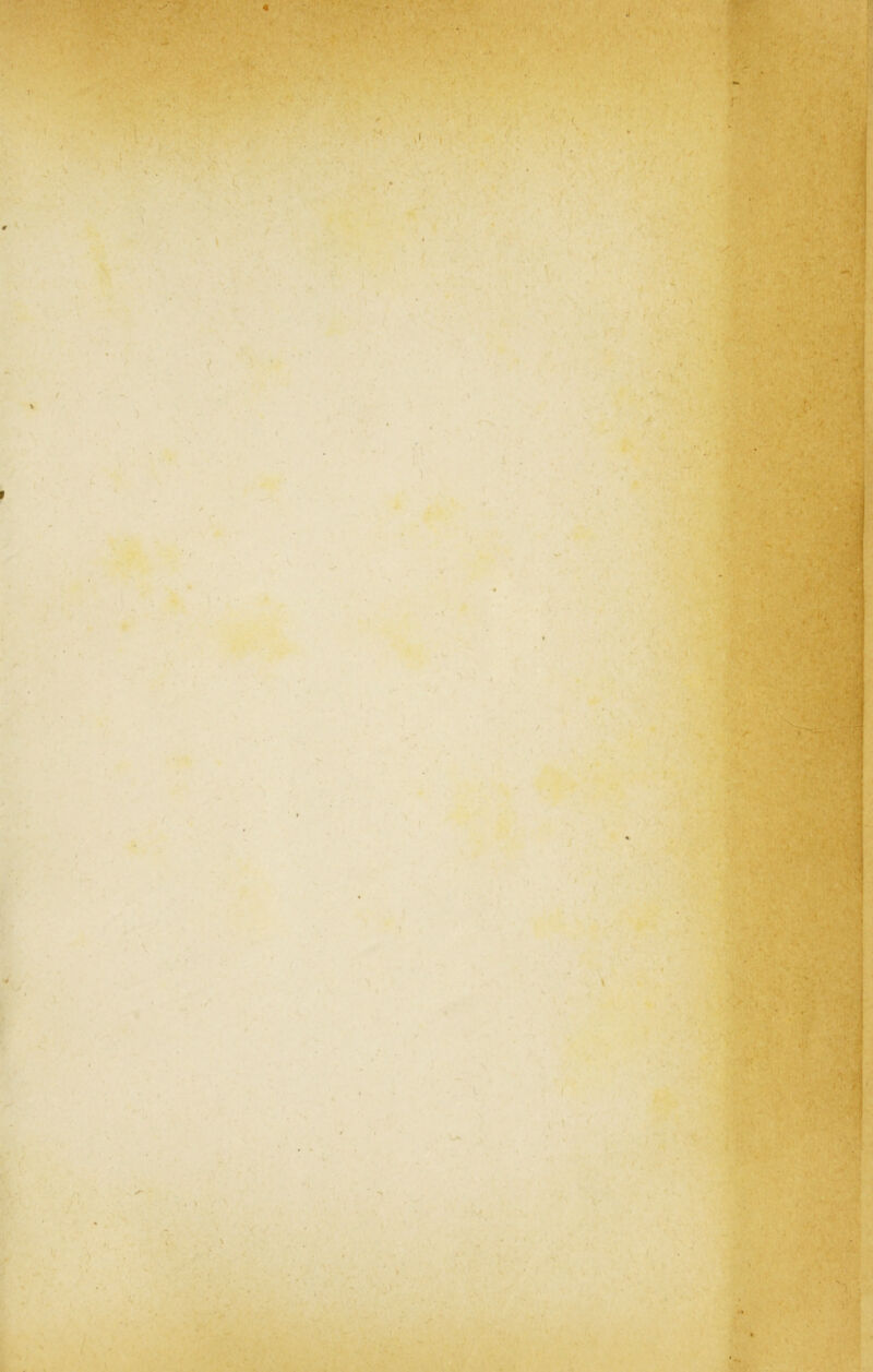 V • • ,3 i i » V « ♦ » f * * / • ’< ; -4xt sm / *