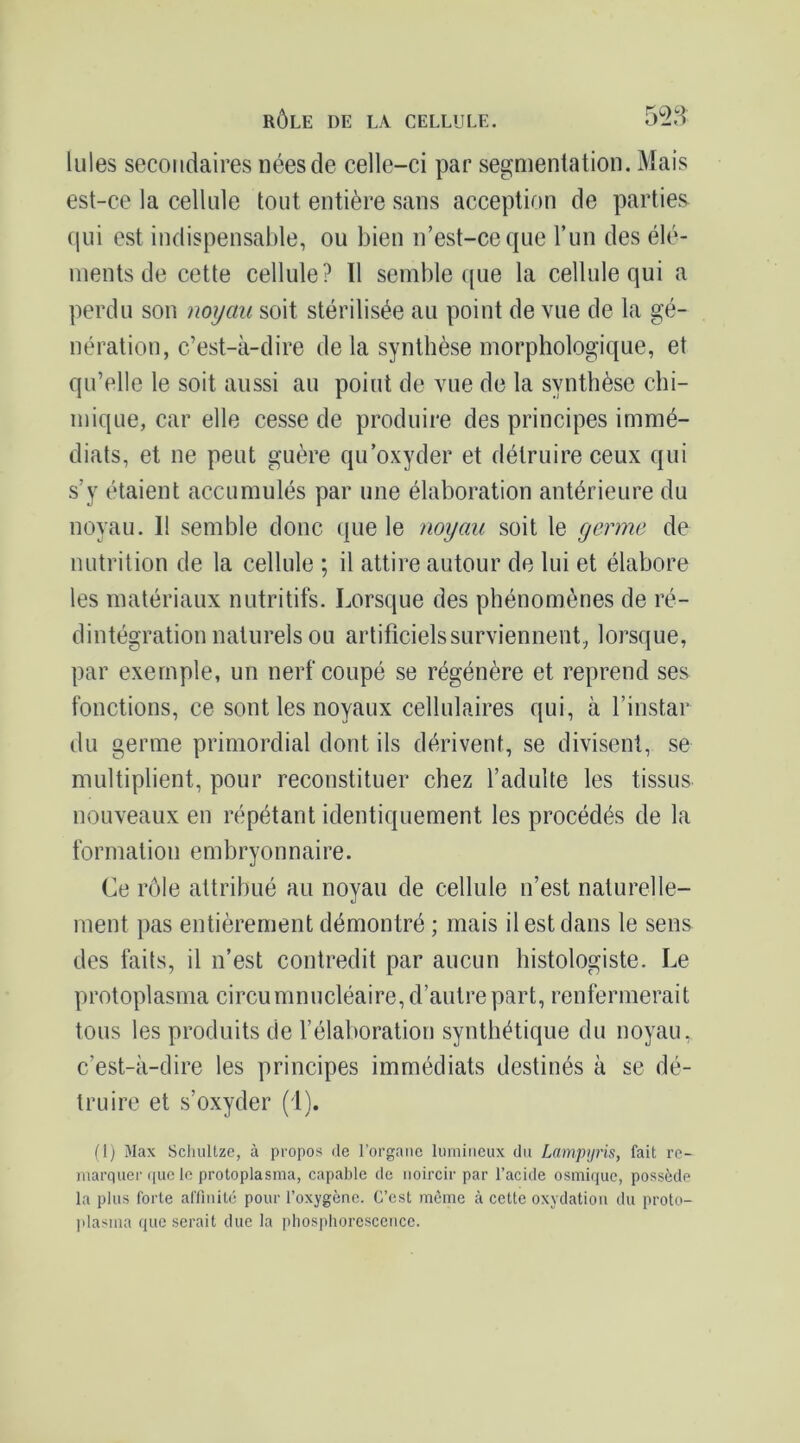 Iules secondaires nées de celle-ci par segmentation. Mais est-ce la cellule tout entière sans acception de parties qui est indispensable, ou bien n’est-ce que run des élé- ments de cette cellule? 11 semble que la cellule qui a perdu son noyau soit stérilisée au point de vue de la gé- nération, c’est-à-dire de la synthèse morphologique, et qu’elle le soit aussi au point de vue de la synthèse chi- mique, car elle cesse de produire des principes immé- diats, et ne peut guère qu’oxyder et détruire ceux qui s’y étaient accumulés par une élaboration antérieure du noyau. Il semble donc que le noyau soit le germe de nutrition de la cellule ; il attire autour de lui et élabore les matériaux nutritifs. Lorsque des phénomènes de ré- dintégration naturels ou artificiels surviennent, lorsque, par exemple, un nerf coupé se régénère et reprend ses fonctions, ce sont les noyaux cellulaires qui, à l’instar du germe primordial dont ils dérivent, se divisent, se multiplient, pour reconstituer chez l’adulte les tissus nouveaux en répétant identiquement les procédés de la formation embryonnaire. Ce rôle attribué au noyau de cellule n’est naturelle- ment pas entièrement démontré ; mais il est dans le sens des faits, il n’est contredit par aucun histologiste. Le protoplasina circumnucléaire, d’autre part, renfermerait tous les produits de l’élaboration synthétique du noyau, c’est-à-dire les principes immédiats destinés à se dé- truire et s’oxyder (1). flj Max Scliullze, à propos de l’orgaiic lumineux du Lampijris, fait re- marquer (luc le protoplasnia, capable de noircir par l’acide osmique, possède la plus forte affinité pour l’oxygène. C’est même à cette oxydation du proto- plasma que serait due la phosphorescence.