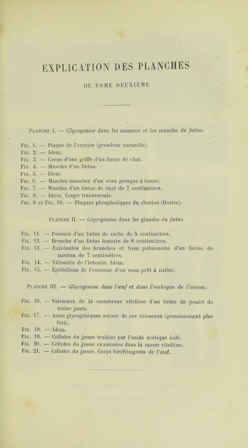 EXPLICATION DES PLANCHES i)ll TOME DEUXIÈME l‘L\NCHE I. — Ohjcogenèse dans les annexes et les muscles du fœtus. Fig. 1. — Plaque de l’amiijos (grandeur naturelle). Fig. 2. — Idem. Fig. d. — Corne d’une griffe d’un fœtus de chat. Fig. 4. •— Muscles d’un fœtus. Fig. 5. — Idem. Fig. 0. — Muscles masséter d’un veàu presque à terme. Fig. 7. ■— Muscles d’un fœtus de chat de 7 centimètres. Fig. 8. — Idem. Coupe transversale. Fig. t> et Fig. 10. — Plaques phosphatiques du chorion (Dastre). Pl.\nche II. — Gtijcogenèse dans les glandes du fœtus. Fig. 11. — Poumon d’un fœtus de vache de 5 centimètres. Fig. 12. — Bronche d’un fœtus humain de 8 centimètres. Fig. 13. — Extrémités des bronches et tissu pulmonaire d’un fœtus de mouton de 7 centimètres. Fig. 14. — Villosités de l’intestin. Idem. Fig. 15. — Épithélium de l’estomac d’un veau prêt à naître. Pi.AxcHE III. — Glgcogenèse dans Væuf et dans l'embryon de l'oiseau. Fig. 10. — Vaisseaux de la membrane vitelline d’un fœtus de poulet de treize jours. Fig. 17. — .Vmas glycogéniques autour de ces vaisseaux (grossissement plus fort). Fig. 18. •— Idem. Fig. 19. — Cellules du jaune traitées par l’acide acétique iodé. Fig. 20. — Cellules du jaune examinées dans la masse vitelline. Fig. 21. — Cellules du jaune. Corps biréfringents de l’œuf.