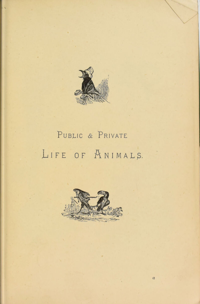 Public & Private Life of Animal a