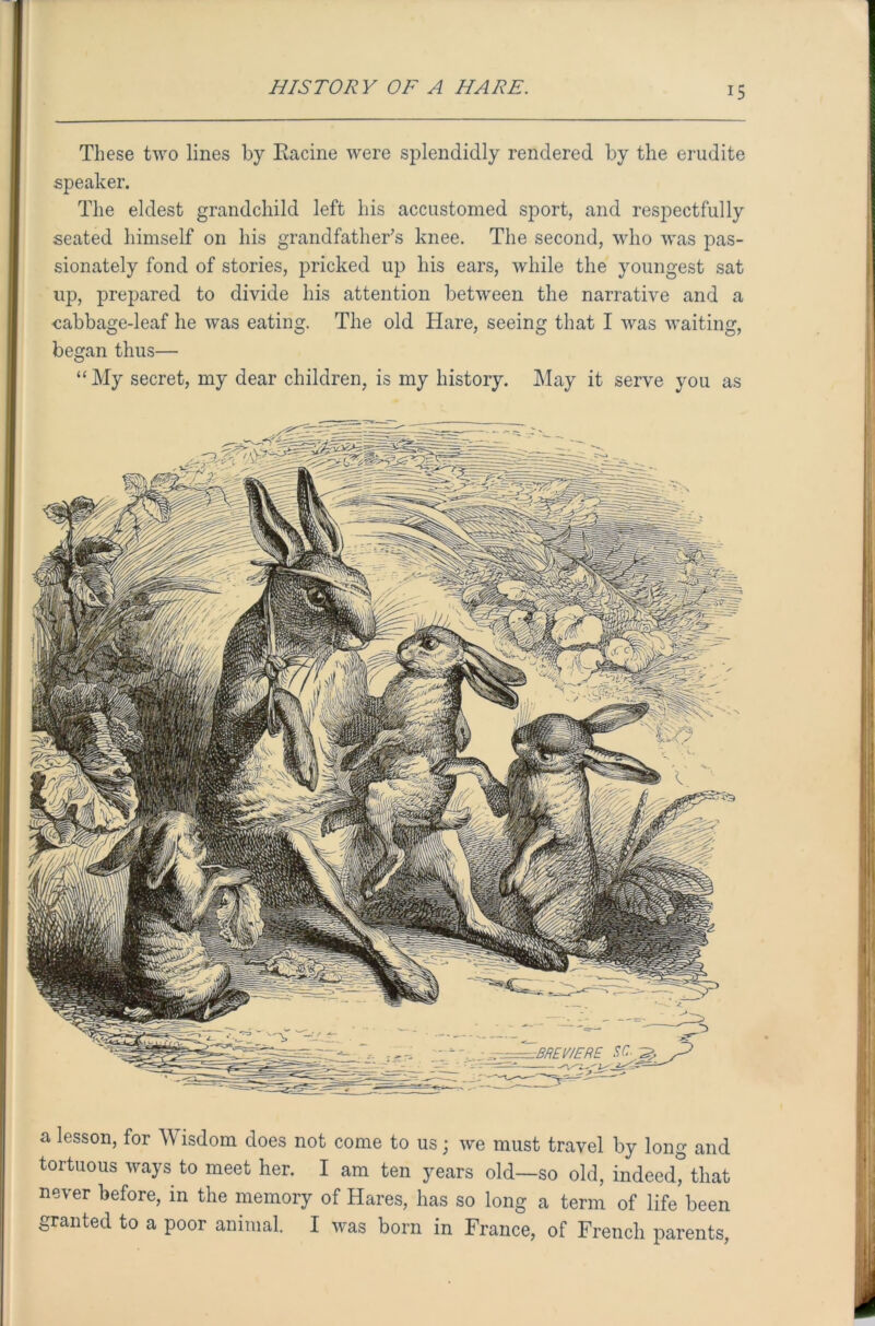 These two lines by Racine were splendidly rendered by the erudite speaker. The eldest grandchild left his accustomed sport, and respectfully seated himself on his grandfather's knee. The second, who was pas- sionately fond of stories, pricked up his ears, while the youngest sat up, prepared to divide his attention between the narrative and a •cabbage-leaf he was eating. The old Hare, seeing that I was waiting, began thus— “My secret, my dear children, is my history. May it serve you as a lesson, for Wisdom does not come to us; we must travel by long and tortuous ways to meet her. I am ten years old—so old, indeed, that never before, in the memory of Hares, has so long a term of life been granted to a poor animal. I was born in France, of French parents,