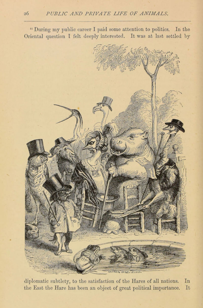 “ During my public career I paid some attention to politics. In the Oriental question I felt deeply interested. It was at last settled by diplomatic subtlety, to the satisfaction of the Hares of all nations. In the East the Hare has been an object of great political importance. It
