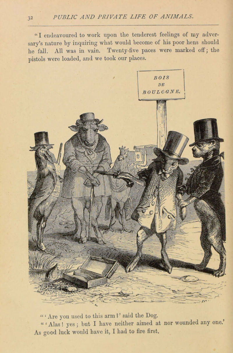 “ I endeavoured to work upon the tenderest feelings of my adver- sary’s nature by inquiring what would become of his poor hens should he fall. All was in vain. Twenty-five paces were marked off; the pistols were loaded, and we took our places. “ ‘ Are you used to this armf said the Dog. « < Alas ! yes ; but I have neither aimed at nor wounded any one.’ As good luck would have it, I had to fire first.