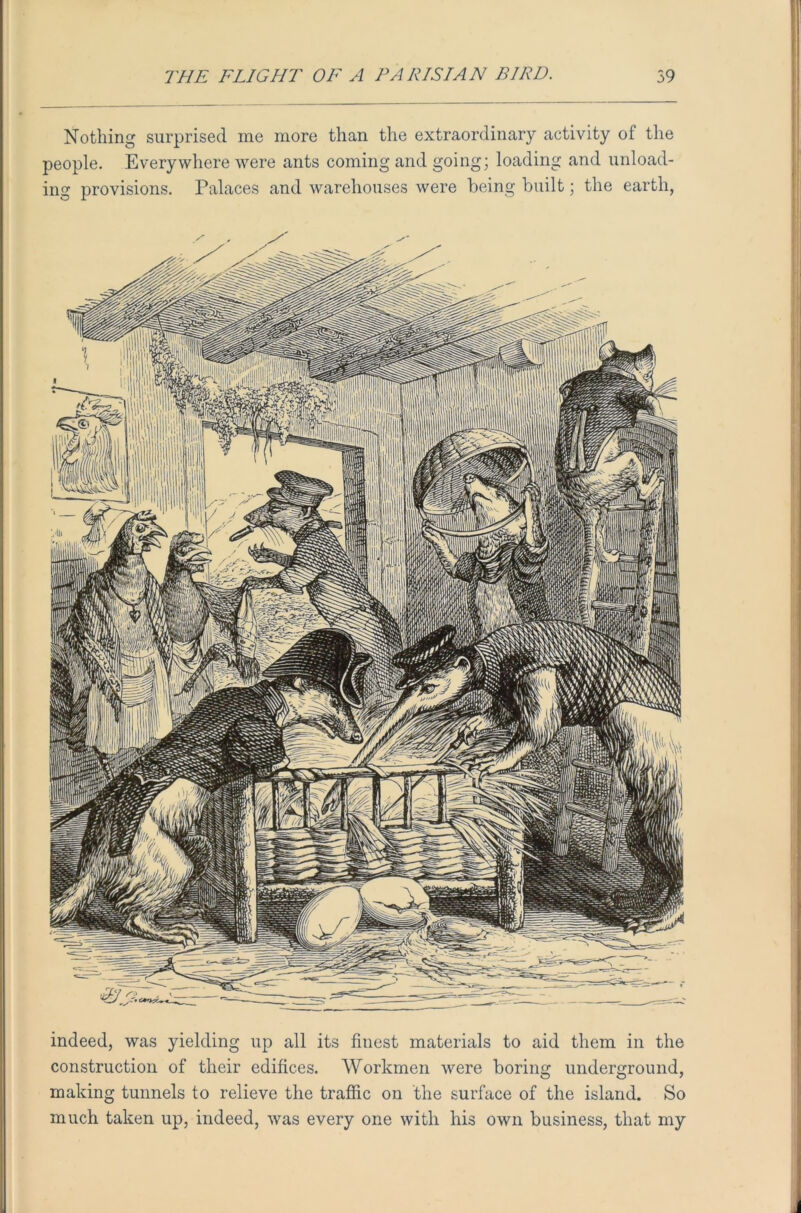 Nothing surprised me more than the extraordinary activity of the people. Everywhere were ants coming and going; loading and unload- ing provisions. Palaces and warehouses were being built; the earth, indeed, was yielding up all its finest materials to aid them in the construction of their edifices. Workmen were boring underground, making tunnels to relieve the traffic on the surface of the island. So much taken up, indeed, was every one with his own business, that my