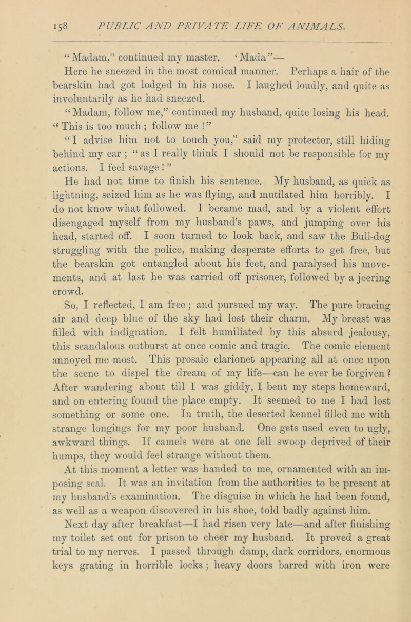 “Madam,” continued my master. ‘Mada”— Here he sneezed in the most comical manner. Perhaps a hair of the bearskin had got lodged in his nose. I laughed loudly, and quite as involuntarily as he had sneezed. “Madam, follow me,” continued my husband, quite losing his head. “ This is too much ; follow me ! ” “ I advise him not to touch you,” said my protector, still hiding behind my ear ; “ as I really think I should not be responsible for my actions. I feel savage 1 ” He had not time to finish his sentence. My husband, as quick as lightning, seized him as he was flying, and mutilated him horribly. I do not know what followed. I became mad, and by a violent effort disengaged myself from my husband’s paws, and jumping over his head, started off. I soon turned to look back, and saw the Bull-dog struggling with the police, making desperate efforts to get free, but the bearskin got entangled about his feet, and paralysed his move- ments, and at last he was carried off prisoner, followed by a jeering crowd. So, I reflected, I am free; and pursued my way. The pure bracing air and deep blue of the sky had lost their charm. My breast was filled with indignation. I felt humiliated by this absurd jealousy, this scandalous outburst at once comic and tragic. The comic element annoyed me most. This prosaic clarionet appearing all at once upon the scene to dispel the dream of my life—can he ever be forgiven ? After wandering about till I was giddy, I bent my steps homeward, and on entering found the pkice empty. It seemed to me I had lost something or some one. In truth, the deserted kennel filled me with strange longings for my poor husband. One gets used even to ugly, awkward things. If camels were at one fell swoop deprived of their humps, they would feel strange without them. At this moment a letter was handed to me, ornamented with an im- posing seal. It was an invitation from the authorities to be present at my husband’s examination. The disguise in which he had been found, as well as a weapon discovered in his shoe, told badly against him. Next day after breakfast—I had risen very late—and after finishing my toilet set out for prison to cheer my husband. It proved a great trial to my nerves. I passed through damp, dark corridors, enormous keys grating in horrible locks; heavy doors barred with iron were
