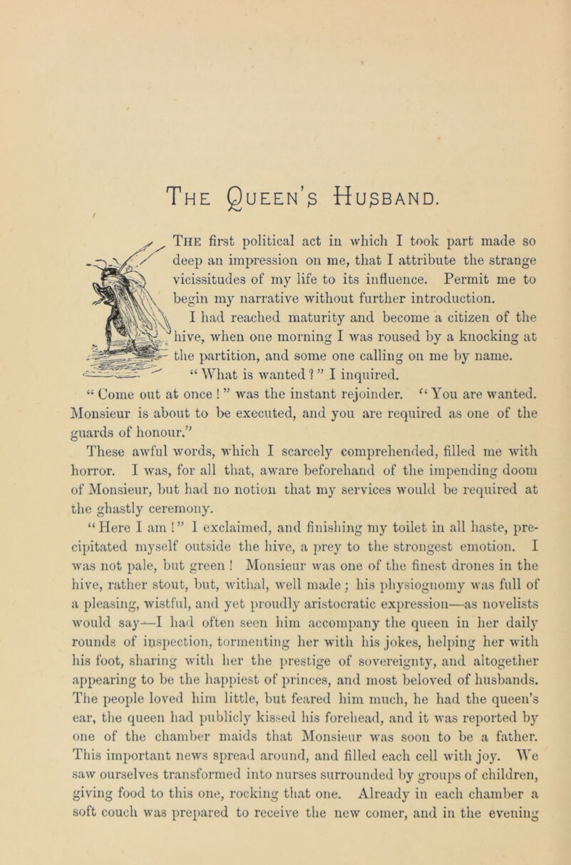 The Queen’? Husband. The first political act in which I took part made so deep an impression on me, that I attribute the strange vicissitudes of my life to its influence. Permit me to begin my narrative without further introduction. I had reached maturity and become a citizen of the hive, when one morning I was roused by a knocking at the partition, and some one calling on me by name. “ What is wanted 1 ” I inquired. “ Come out at once ! ” was the instant rejoinder. u You are wanted. Monsieur is about to be executed, and you are required as one of the guards of honour.” These awful words, which I scarcely comprehended, filled me with horror. I was, for all that, aware beforehand of the impending doom of Monsieur, but had no notion that my services would be required at the ghastly ceremony. “Here I am !” 1 exclaimed, and finishing my toilet in all haste, pre- cipitated myself outside the hive, a prey to the strongest emotion. I was not pale, but green ! Monsieur was one of the finest drones in the hive, rather stout, but, withal, well made; his physiognomy was full of a pleasing, wistful, and yet proudly aristocratic expression—as novelists would say—I had often seen him accompany the queen in her daily rounds of inspection, tormenting her with his jokes, helping her with his foot, sharing with her the prestige of sovereignty, and altogether appearing to be the happiest of princes, and most beloved of husbands. The people loved him little, but feared him much, he had the queen’s ear, the queen had publicly kissed his forehead, and it was reported by one of the chamber maids that Monsieur was soon to be a father. This important news spread around, and filled each cell with joy. We saw ourselves transformed into nurses surrounded by groups of children, giving food to this one, rocking that one. Already in each chamber a soft couch was prepared to receive the new comer, and in the evening