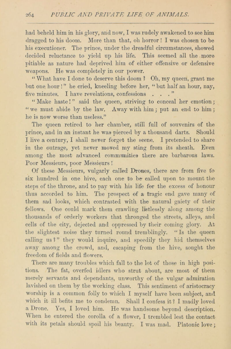 had beheld him in his glory, and now, I was rudely awakened to see him dragged to his doom. More than that, 0I1 horror ! I was chosen to be his executioner. The prince, under the dreadful circumstances, showed decided reluctance to yield up his life. This seemed all the more pitiable as nature had deprived him of either offensive or defensive weapons. He was completely in our power. “ What have I done to deserve this doom ? Oh, my queen, grant me but one hour ! ” he cried, kneeling before her, “ but half an hour, nay, five minutes. I have revelations, confessions . . . ” “ Make haste! ” said the queen, striving to conceal her emotion; “ we must abide by the law. Away with him; put an end to him; he is now worse than useless.” The queen retired to her chamber, still full of souvenirs of the prince, and in an instant he was- pierced by a thousand darts. Should I live a century, I shall never forget the scene. I pretended to share in the outrage, yet never moved my sting from its sheath. Even among the most advanced communities there are barbarous laws. Poor Messieurs, poor Messieurs ! Of these Messieurs, vulgarly called Drones,, there are from five t'o six hundred in one hive, each one to be' called upon to mount the steps of the throne, and to pay with his life for the excess of honour thus accorded to him. The prospect of a tragic end gave many of them sad looks, which contrasted with the natural gaiety of their fellows. One could mark them crawling listlessly along among the thousands of orderly workers that thronged the streets, alleys, and cells of the city, dejected and oppressed by their coming glory. At the slightest noise they turned round tremblingly. “ Is the queen calling us 1 ” they would inquire, and speedily they hid themselves away among the crowd, and, escaping from the hive, sought the freedom of fields and flowers. There are many troubles which fall to the lot of those in high posi- tions. The flit, overfed idlers who strut about, are most of them merely servants and dependants, unworthy of the vulgar admiration lavished on them by the working class. This sentiment of aristocracy worship is a common folly to which I myself have been subject, and which it ill befits me to condemn. Shall I confess it ? I madly loved a Drone. Yes, I loved him. He was handsome beyond description. M hen he entered the corolla of a flower, I trembled lest the contact with its petals should spoil his beauty. I was mad. Platonic love;