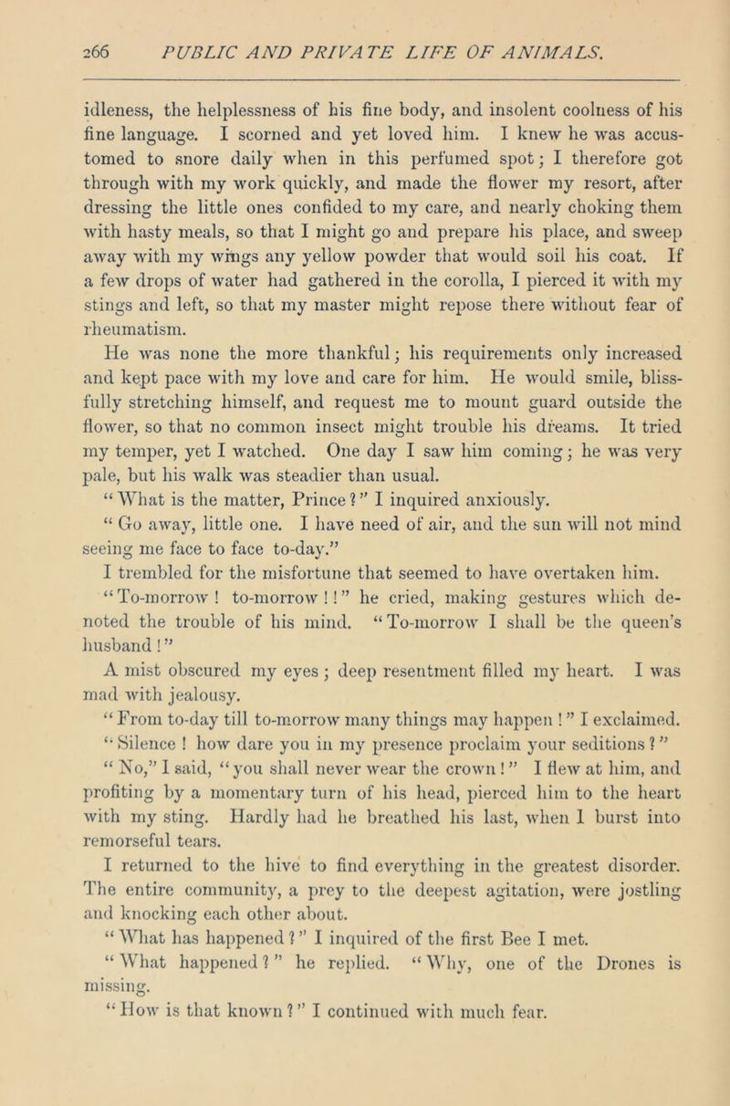 idleness, the helplessness of his fine body, and insolent coolness of his fine language. I scorned and yet loved him. I knew he was accus- tomed to snore daily when in this perfumed spot; I therefore got through with my work quickly, and made the flower my resort, after dressing the little ones confided to my care, and nearly choking them with hasty meals, so that I might go and prepare his place, and sweep away with my wfngs any yellow powder that would soil his coat. If a few drops of water had gathered in the corolla, I pierced it with my stings and left, so that my master might repose there without fear of rheumatism. He was none the more thankful; his requirements only increased and kept pace with my love and care for him. He would smile, bliss- fully stretching himself, and request me to mount guard outside the flower, so that no common insect might trouble his dreams. It tried my temper, yet I watched. One day I saw him coming; he was very pale, but his walk was steadier than usual. “What is the matter, Prince?” I inquired anxiously. “ Go away, little one. I have need of air, and the sun will not mind seeing me face to face to-day.” I trembled for the misfortune that seemed to have overtaken him. “To-morrow! to-morrow !! ” he cried, making gestures which de- noted the trouble of his mind. “ To-morrow 1 shall be the queen’s husband!” A mist obscured my eyes ; deep resentment filled my heart. I was mad with jealousy. “ From to-day till to-morrow many things may happen ! ” I exclaimed. “ Silence ! how dare you in my presence proclaim your seditions ? ” “ No,” 1 said, “you shall never wear the crown ! ” I flew at him, and profiting by a momentary turn of his head, pierced him to the heart with my sting. Hardly had he breathed his last, when 1 burst into remorseful tears. I returned to the hive to find everything in the greatest disorder. The entire community, a prey to the deepest agitation, were jostling and knocking each other about. “ What has happened ? ” I inquired of the first Bee I met. “ What happened ? ” he replied. “ Why, one of the Drones is missing. “How is that known?” I continued with much fear.