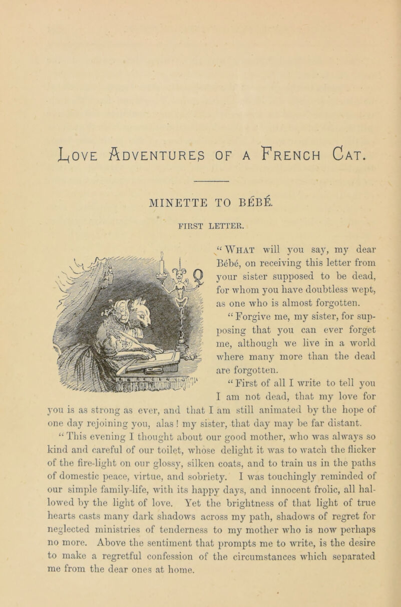 J_(Ove Adventurer of a French Cat. MINETTE TO BEBE. FIRST LETTER. “ What will you say, my dear Bebe, on receiving this letter from your sister supposed to be dead, for whom you have doubtless wept, as one who is almost forgotten. “ Forgive me, my sister, for sup- posing that you can ever forget me, although we live in a world where many more than the dead are forgotten. “ First of all I write to tell you I am not dead, that my love for you is as strong as ever, and that I am still animated by the hope of one day rejoining you, alas ! my sister, that day may be far distant. “ This evening I thought about our good mother, who was always so kind and careful of our toilet, whose delight it was to watch the flicker of the fire-light on our glossy, silken coats, and to train us in the paths of domestic peace, virtue, and sobriety. I was touchingly reminded of our simple family-life, with its happy days, and innocent frolic, all hal- lowed by the light of love. Yet the brightness of that light of true hearts casts many dark shadows across my path, shadows of regret for neglected ministries of tenderness to my mother who is now perhaps no more. Above the sentiment that prompts me to write, is the desire to make a regretful confession of the circumstances which separated me from the dear ones at home.