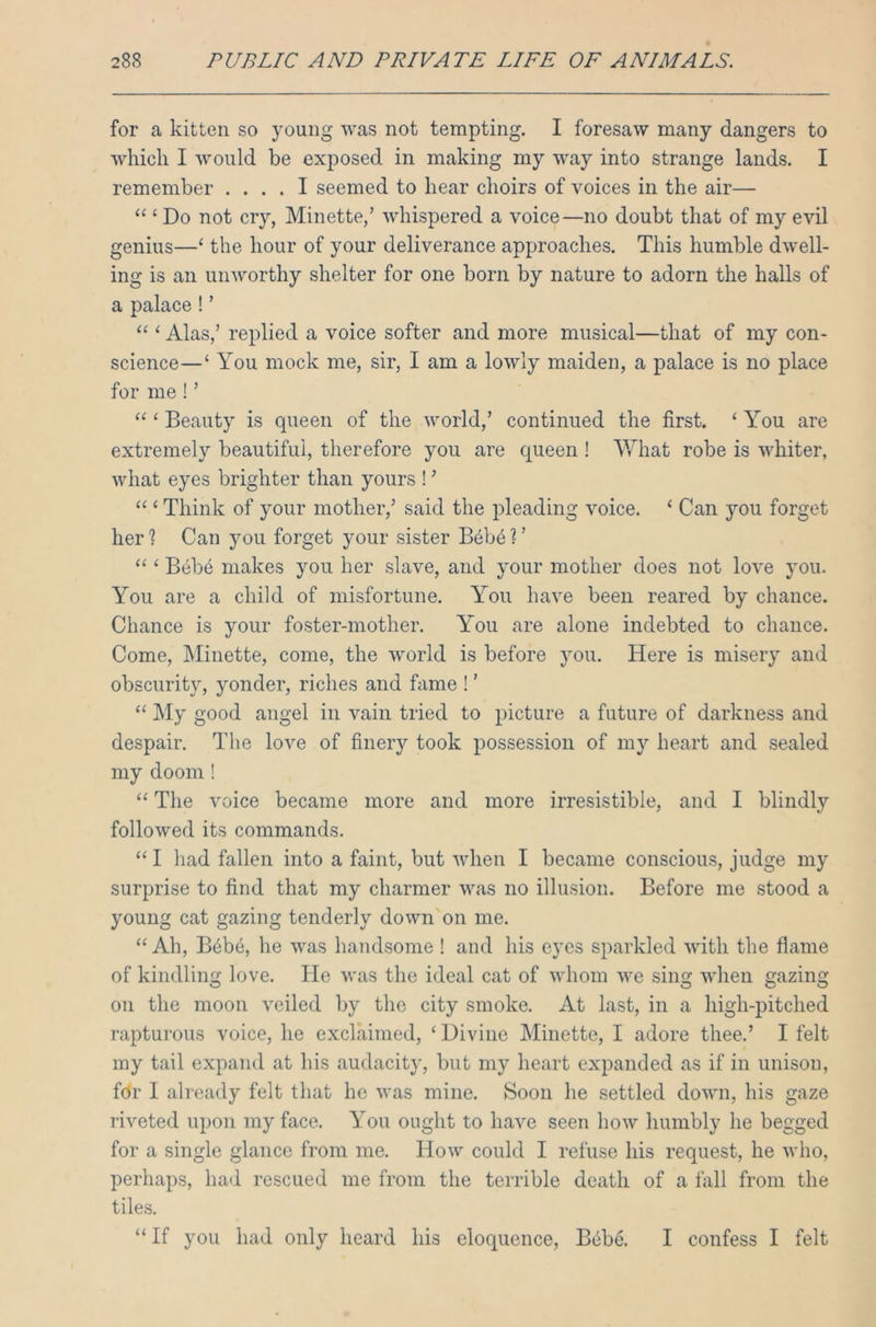for a kitten so young was not tempting. I foresaw many dangers to which I would be exposed in making my way into strange lands. I remember .... I seemed to hear choirs of voices in the air— “ ‘ Do not cry, Minette,’ whispered a voice—no doubt that of my evil genius—‘ the hour of your deliverance approaches. This humble dwell- ing is an unworthy shelter for one born by nature to adorn the halls of a palace ! ’ “ ‘ Alas,’ replied a voice softer and more musical—that of my con- science—‘ You mock me, sir, I am a lowly maiden, a palace is no place for me ! ’ “ ‘ Beauty is queen of the world,’ continued the first. ‘ You are extremely beautiful, therefore you are queen ! What robe is whiter, what eyes brighter than yours ! ’ “ * Think of your mother,’ said the pleading voice. ‘ Can you forget her ? Can you forget your sister Beb6 ? ’ “ ‘ Beb6 makes you her slave, and your mother does not love you. You are a child of misfortune. You have been reared by chance. Chance is your foster-mother. YY>u are alone indebted to chance. Come, Minette, come, the world is before you. Here is misery and obscurity, yonder, riches and fame ! ’ “ My good angel in vain tried to picture a future of darkness and despair. The love of finery took possession of my heart and sealed my doom ! “ The voice became more and more irresistible, and I blindly followed its commands. “I had fallen into a faint, but when I became conscious, judge my surprise to find that my charmer was no illusion. Before me stood a young cat gazing tenderly down on me. “ Ah, Beb6, he was handsome ! and his eyes sparkled with the flame of kindling love. He was the ideal cat of whom we sing when gazing on the moon veiled by the city smoke. At last, in a high-pitched rapturous voice, he exclaimed, ‘ Divine Minette, I adore thee.’ I felt my tail expand at his audacity, but my heart expanded as if in unison, fdr I already felt that he was mine. Soon he settled down, his gaze riveted upon my face. You ought to have seen how humbly he begged for a single glance from me. How could I refuse his request, he who, perhaps, had rescued me from the terrible death of a fall from the tiles. “ If you had only heard his eloquence, Bdbe. I confess I felt