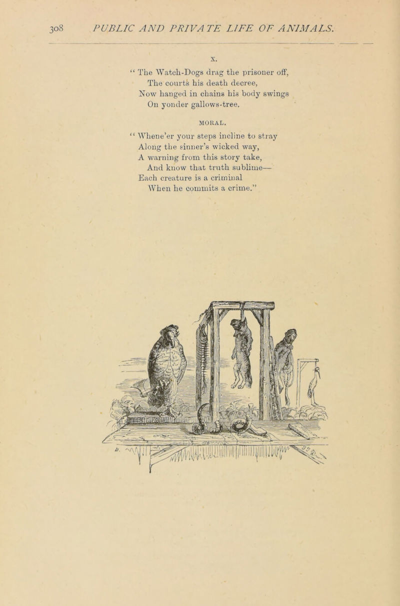 x. “ The Watch-Dogs drag the prisoner off. The courtfc his death decree, Now hanged in chains his body swings On yonder gallows-tree. MORAL. “ Whene’er your steps incline to stray Along the sinner’s wicked way, A warning from this story take, And know that truth sublime— Each creature is a criminal When he commits a crime.”
