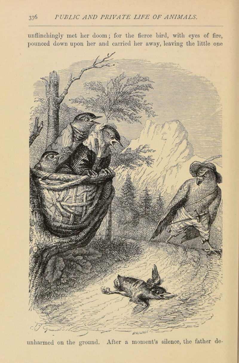 unflinchingly met her doom; for the fierce bird, with eyes of fire, pounced down upon her and carried her away, leaving the little one unharmed on the ground. After a moment’s silence, the father de-