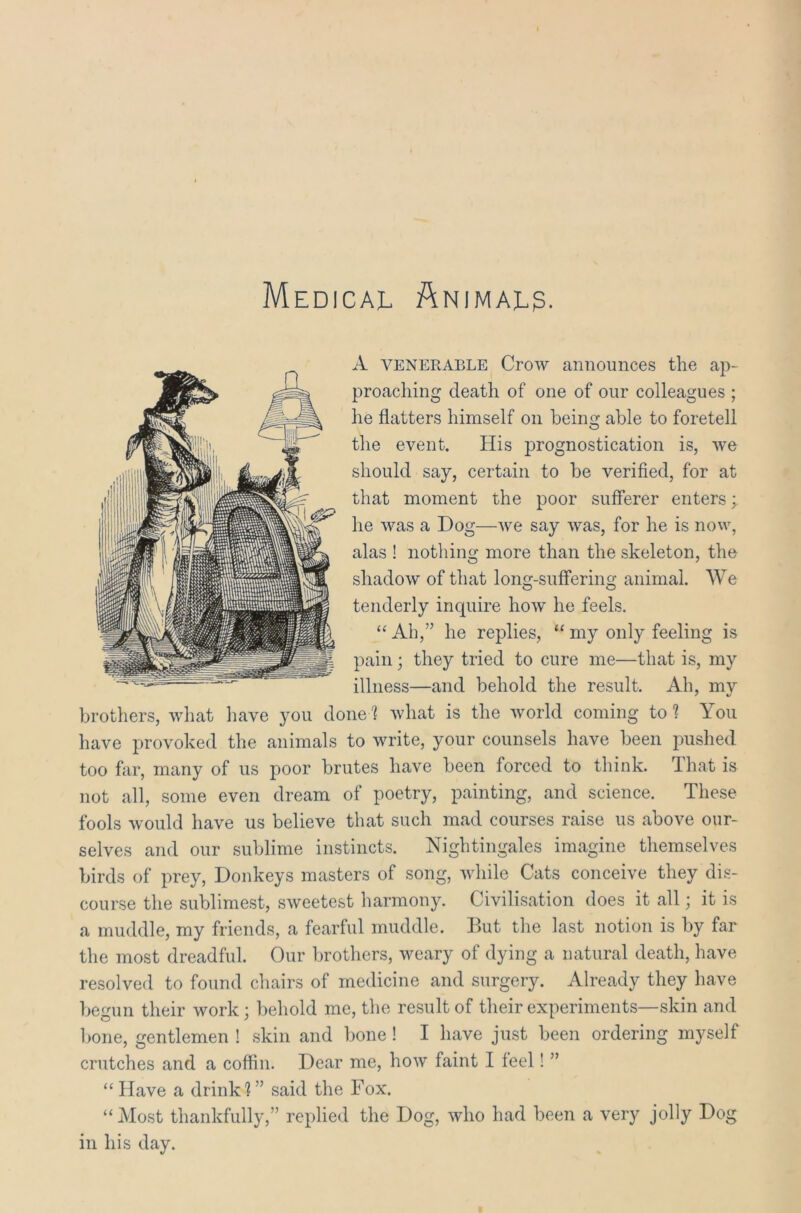 Medical Animal?. A venerable Crow announces the ap- proaching death of one of our colleagues ; he flatters himself on being able to foretell the event. His prognostication is, we should say, certain to be verified, for at that moment the poor sufferer enters; he was a Dog—we say was, for he is now, alas ! nothing more than the skeleton, the shadow of that long-suffering animal. We tenderly inquire how he feels. “ Ah,” he replies, “ my only feeling is pain; they tried to cure me—that is, my illness—and behold the result. Ah, mv brothers, what have you done ? what is the world coming to ? You have provoked the animals to write, your counsels have been pushed too far, many of us poor brutes have been forced to think. That is not all, some even dream of poetry, painting, and science. These fools would have us believe that such mad courses raise us above our- selves and our sublime instincts. Nightingales imagine themselves birds of prey, Donkeys masters of song, while Cats conceive they dis- course the sublimest, sweetest harmony. Civilisation does it all; it is a muddle, my friends, a fearful muddle. But the last notion is by far the most dreadful. Our brothers, weary of dying a natural death, have resolved to found chairs of medicine and surgery. Already they have begun their work; behold me, the result of their experiments—skin and bone, gentlemen ! skin and bone ! I have just been ordering myself crutches and a coffin. Dear me, how faint I feel! ” “Have a drink?” said the Fox. “Most thankfully,” replied the Dog, who had been a very jolly Dog in his day.