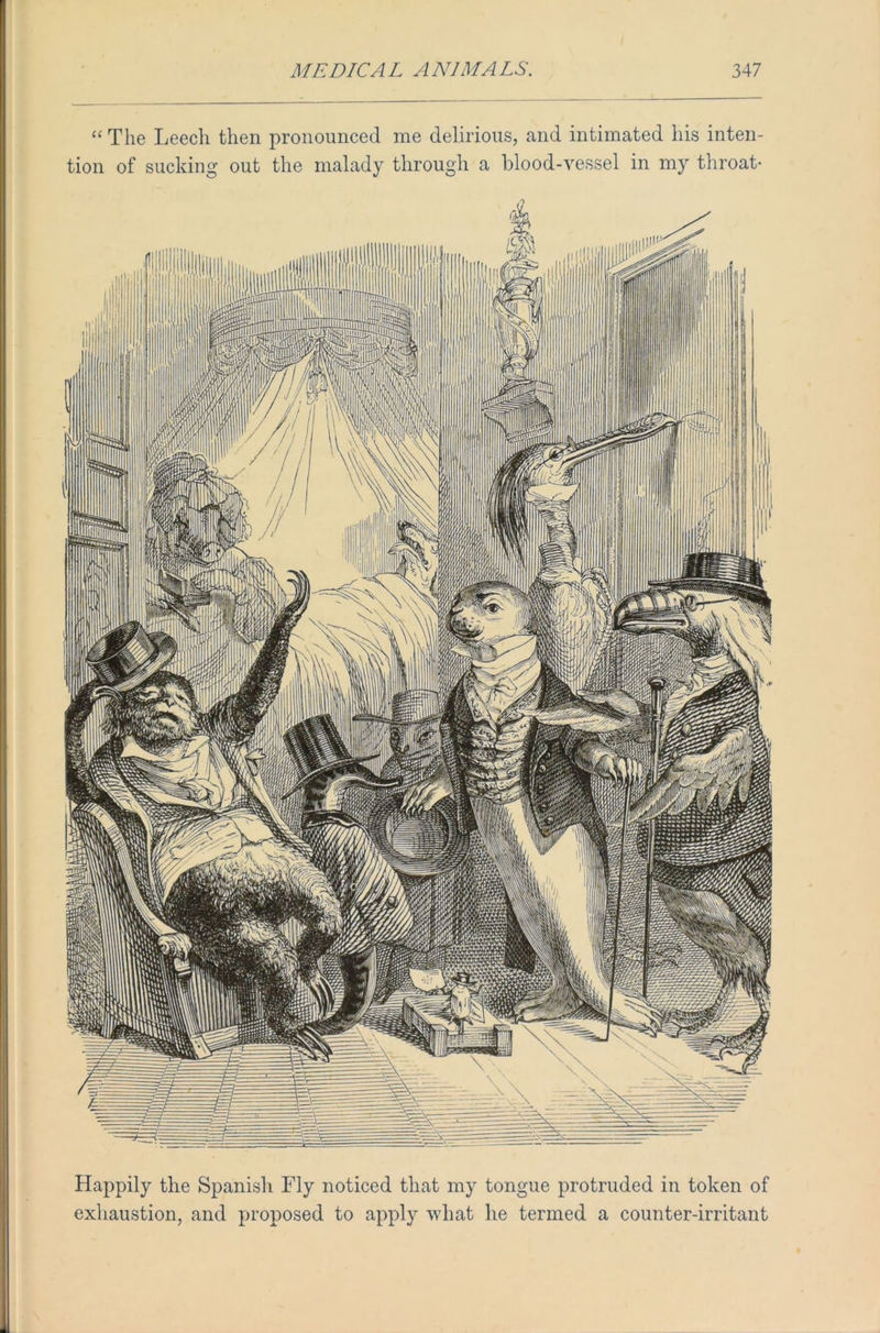 “ The Leech then pronounced me delirious, and intimated his inten- tion of sucking out the malady through a blood-vessel in my throat- Happily the Spanish Fly noticed that my tongue protruded in token of exhaustion, and proposed to apply what he termed a counter-irritant