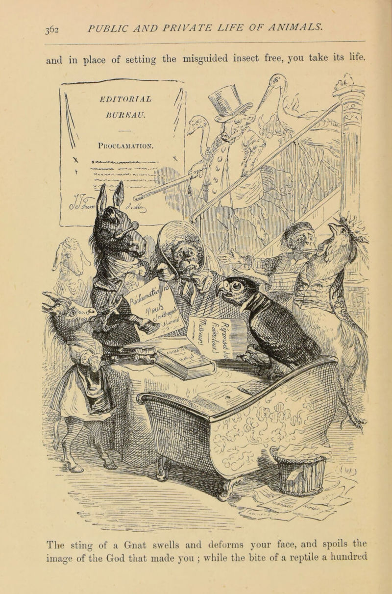 and in place of setting the misguided insect free, you take its life. EDITORIAL BUREAU. Proclamation*, W/JL. omm BSfcV - —r The sting of a Gnat swells and deforms your face, and spoils the image of the God that made you ; while the bite of a reptile a hundred