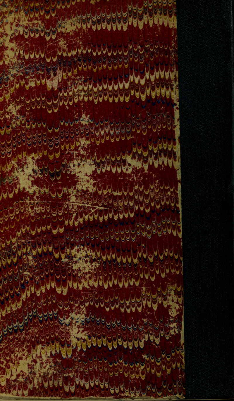 iHÊÜÊÊ .v ■ y i L; vvv ;,>A^,. ', /,»À j'-% ,■. , y V \ Bwjw^v ’^Vi fci TiM K* ASA ïc ' iii n fjTj L LJ y® 15, ri 1 i ri Ww^lyii 1 [oij T \ 1 \ > ;$T