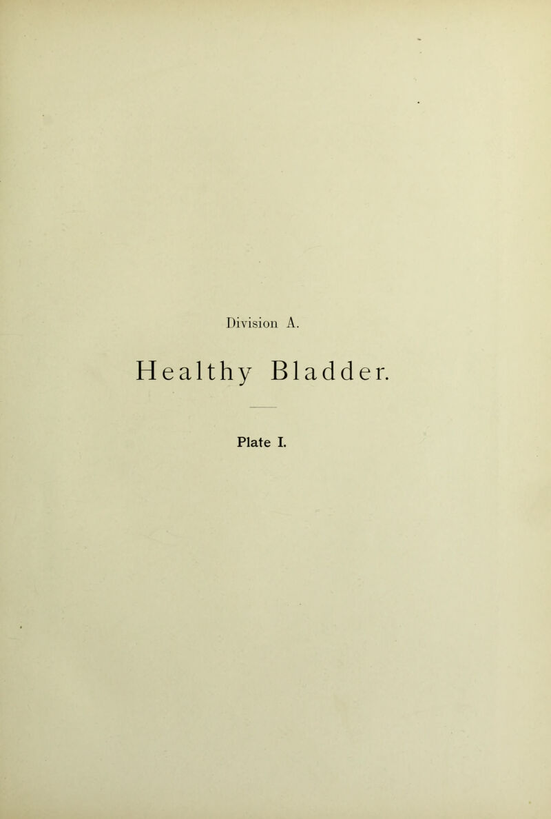 Healthy Bladder.