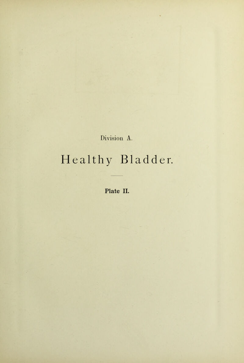 Healthy Bladder.