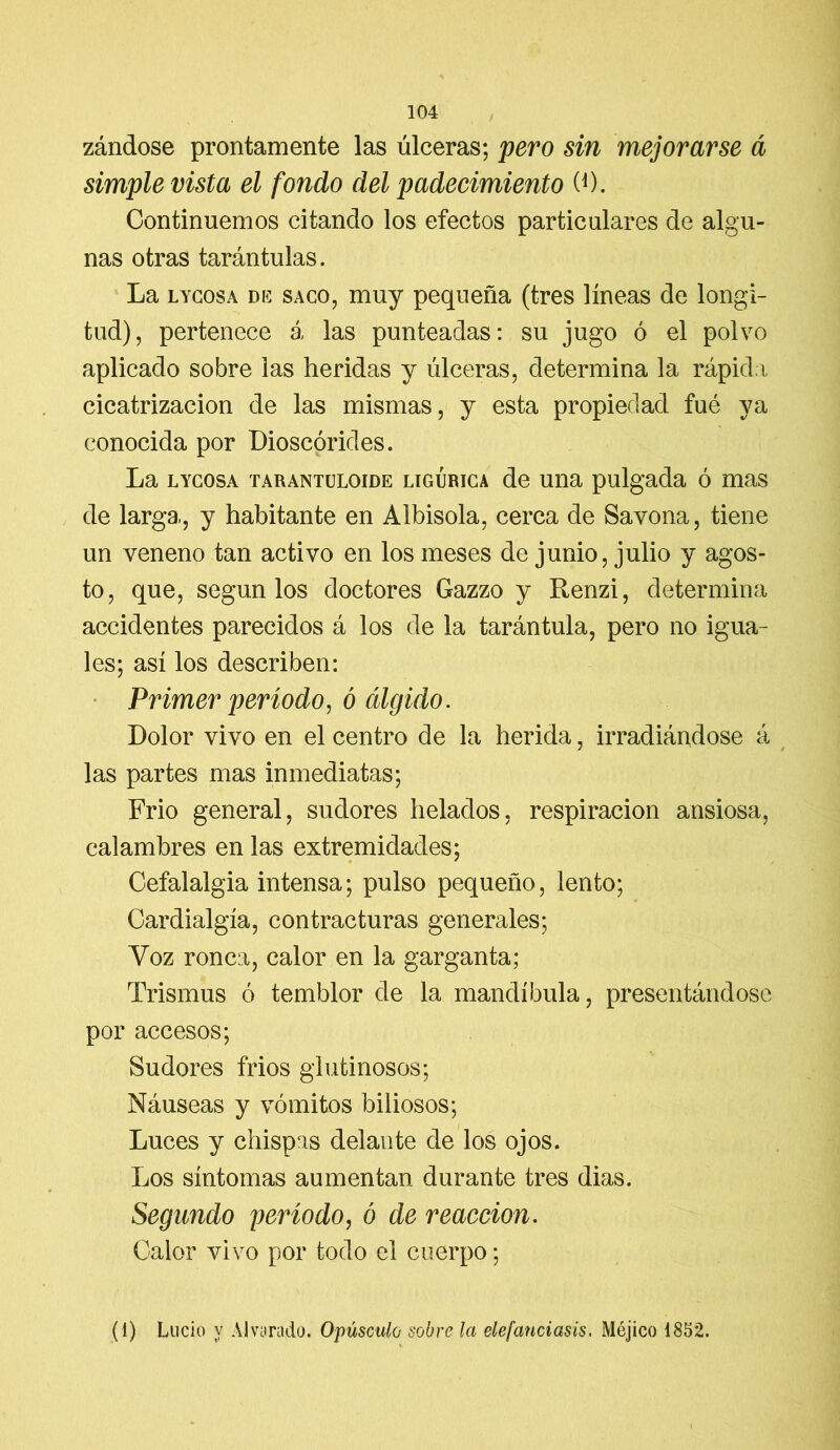 zándose prontamente las úlceras; pero sin mejorarse á simple vista el fondo del padecimiento (*). Continuemos citando los efectos particulares de algu- nas otras tarántulas. La lycosa de saco, muy pequeña (tres líneas de longi- tud), pertenece á las punteadas: su jugo ó el polvo aplicado sobre las heridas y úlceras, determina la rápid a cicatrización de las mismas, y esta propiedad fué ya conocida por Dioscórides. La lycosa tarantüloide ligurica de una pulgada ó mas de larga, y habitante en Albisola, cerca de Sayona, tiene un veneno tan activo en los meses de junio, julio y agos- to, que, según los doctores Gazzo y Renzi, determina accidentes parecidos á los de la tarántula, pero no igua- les; así los describen: Primer período, ó álgido. Dolor vivo en el centro de la herida, irradiándose á las partes mas inmediatas; Frió general, sudores helados, respiración ansiosa, calambres en las extremidades; Cefalalgia intensa; pulso pequeño, lento; Cardialgía, con fracturas generales; Voz ronca, calor en la garganta; Trismus ó temblor de la mandíbula, presentándose por accesos; Sudores frios glutinosos; Náuseas y vómitos biliosos; Luces y chispas delante de los ojos. Los síntomas aumentan durante tres dias. Segundo período, ó de reacción. Calor vivo por todo el cuerpo; (i) Lucio y Alvarado. Opúsculo sobre la elefanciasis, Méjico 1852.