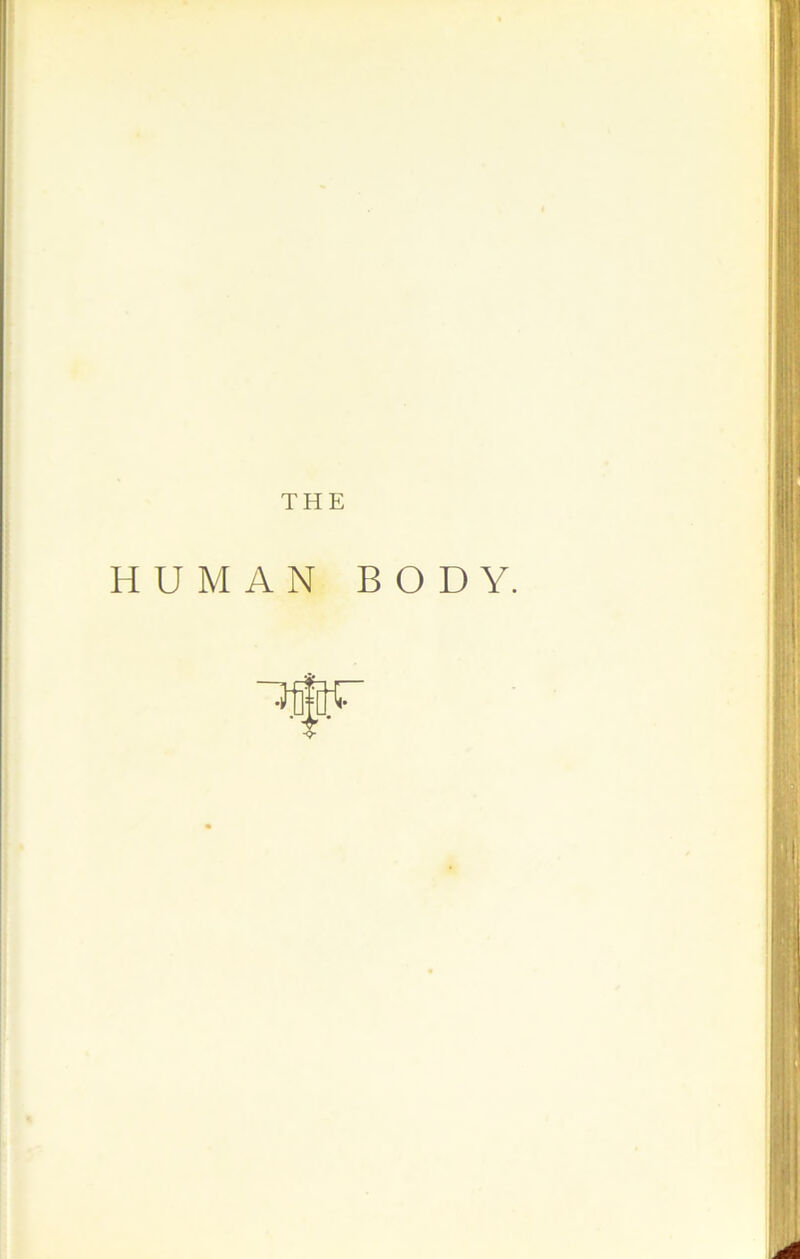 THE HUM AN BODY.