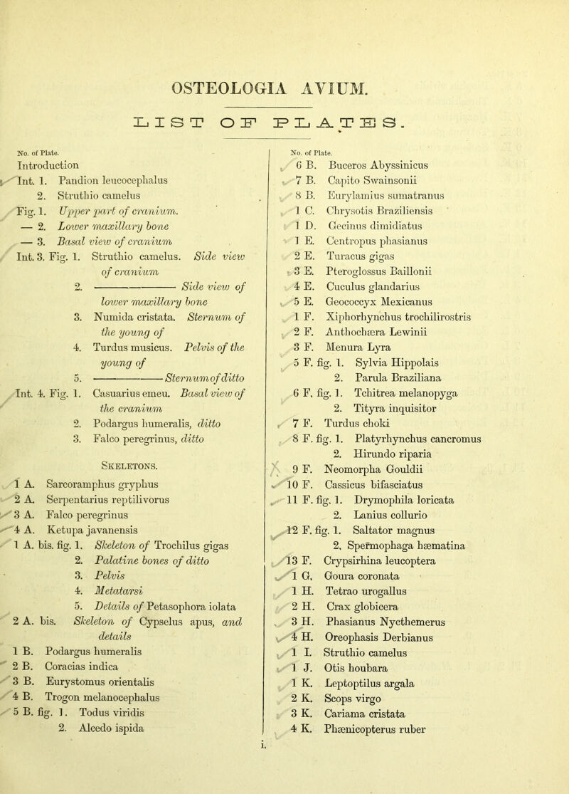 LIST O L PLATES. No. of Plate. Introduction Int. 1. Pandion leucoceplialus 2. Strutkio camelus Fig. 1. Upper part of cranium. — 2. Lower maxillary bone — 3. Basal view of cranium Int. 3. Fi& 1. Struthio camelus. Side vieiv O of c ranium 2. Side view of lower maxillary bone 3. Numida cristata. Sternum of the young of 4. Turdus musicus. Pelvis of the young of 5. Int. 4. Fig. 1. 2. 3. Sternum of ditto Casuarius emeu. Basal view of the cranium Podargus humeralis, ditto Falco peregrinus, ditto Skeletons. 1 A. Sarcoramphus gryplius 2 A. Serpentarius reptilivorus 3 A. Falco peregrinus ■■ 4 A. Ketupa javanensis 1 A. bis. fig. 1. Skeleton of Trocliilus gigas 2. Palatine bones of ditto 3. Pelvis 4. Metatarsi 5. Details of Petasophora iolata 2 A. bis. Skeleton of Cypselus apus, and details 1 B. Podargus humeralis 2 B. Coracias indica 3 B. Eurystomus orientalis 4 B. Trogon melanocephalus 5 B. fig. ] . Todus viridis No. of Plate. 6 B. Buceros Abyssinicus 7 B. Capito Swainsonii 8 B. Eurylamius sumatranus 1 C. Chrysotis Braziliensis 1 D. Gecinus dimidiatus 1 E. Centropus pbasianus 2 E. Turacus gigas 3 E. Pteroglossus Baillonii 4 E. Cuculus glandarius 5 E. Geococcyx Mexicanus 1 F. Xiphorhynchus trocliilirostris 2 F. Anthocluera Lewinii 3 F. Menura Lyra 5 F. fig. 1. Sylvia Hippolais 2. Parula Braziliana 6 F. fig. 1. Tchitrea melanopyga 2. Tityra inquisitor 7 F. Turdus choki 8 F. fig. 1. Platyrliynchus cancromus 2. Hirundo riparia 9 F. Neomorpha Gouldii • 10 F. Cassicus bifasciatus 11 F. fig. 1. Drymophila loricata 2. Lanius collurio 12 F. fig. 1. Saltator magnus 2, Spermophaga hsematina 13 F. Crypsirhina leucoptera , 1 G. Goura coronata 1 H. Tetrao urogallus 2 H. Crax globicera 3 H. Phasianus Nycthemerus 4H. Oreophasis Derbianus 1 I. Strutliio camelus 1 J. Otis houbara 1 K. Leptoptilus argala 2 K. Scops virgo 3 K. Cariama cristata