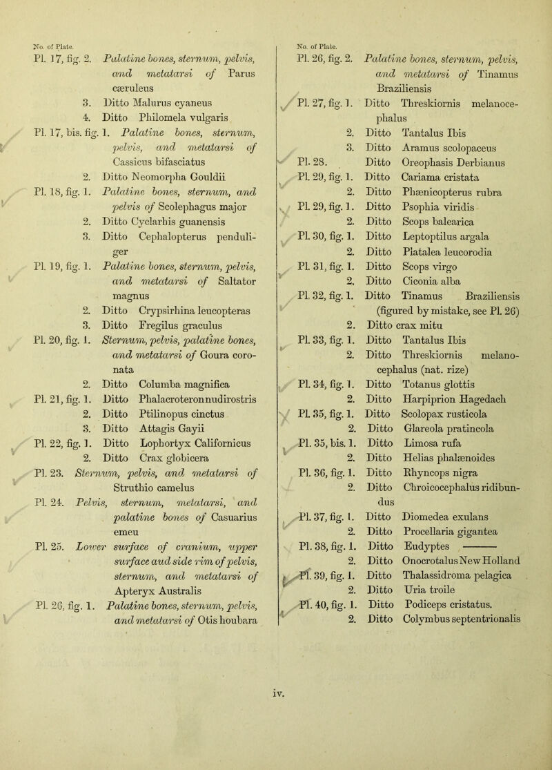 ✓ PL 1 7, fig. 2. Palatine bones, sternum, pelvis, Pl. 26, fig. 2. Palatine bones, sternum, pelvis, and metatarsi of Parus and metatarsi of Tinamus cseruleus Braziliensis 3. Ditto Malurus cyaneus y Pl. 27, fig.1. Ditto Tlireskiornis melanoce- PL 17, bis. fig. 1. Palatine bones, sternum, 2. Ditto Tantalus Ibis pelvis, and metatarsi of 3. Ditto Aramus scolopaceus Cassicus bifasciatus Pl. 28. Ditto Oreophasis Derbianus 2. Ditto Neomorplia Gouldii Pl. 29, fig. 1. Ditto Cariama cristata pelvis of Scolephagus major Pl. 29, fig.l. Ditto Psophia viridis 2. Ditto Cyclarbis guanensis 2. Ditto Scops balearica 3. Ditto Cephalopterus penduli- Pl. 30, fig. 1. Ditto Leptoptilus argala ger 2. Ditto Piatalea leucorodia PL 19, fig. 1. Palatine bones, sternum, pelvis, y/ Pl. 31, fig. 1. Ditto Scops virgo and metatarsi of Saltator 2. Ditto Ciconia alba magnus Pl. 32, fig. 1. Ditto Tinamus Braziliensis 2. Ditto Crypsirliina leucopteras (figured by mistake, see Pl. 26) 3. Ditto Fregilus graculus 2. Ditto crax mitu Pl. 20, fig. 1. Sternum, pelvis, palatine bones, Pl. 33, fig. 1. Ditto Tantalus Ibis and metatarsi of Goura coro- 2. Ditto Tlireskiornis melano- nata cepkalus (nat. rize) 2. Ditto Columba magnifica Pl. 34, fig. 1. Ditto Totanus glottis PL 21, fig. 1. Ditto Phalacroteronnudirostris 2. Ditto Harpiprion Hagedach 2. Ditto Ptilinopus cinctus y Pl. 35, fig. 1. Ditto Scolopax rusticola 3. Ditto Attagis Gayii 2. Ditto Glareola pratincola PL 22, fig. 1. Ditto Lopbortyx Californicus Pl. 35, bis. 1. Ditto Limosa rufa 2. Ditto Crax globicera V 2. Ditto Helias phalmnoides Pl. 23. Sternum, 'pelvis, and metatarsi of Pl. 36, fig. 1. Ditto Rhyncops nigra Struthio camelus 2. Ditto Chroicocephalus ridibun- Pl. 24. Pelvis, sternum, metatarsi, and dus palatine bones of Casuarius Pl. 37, fig. 1. Ditto Diomedea exulans emeu 2. Ditto Procellaria gigantea Pl. 25. Lovjer surface of cranium, upper Pl. 38, fig. 1. Ditto Eudyptes surface aud side rim of pelvis, 2. Ditto Onocrotalus N ew Holland sternum, and metatarsi of t ^-39, fig. 1. Ditto Thalassidroma pelagica Apteryx Australis 2. Ditto Uria troile PL 26, fig. 1. Palatine bones, sternum, pelvis, Pl. 40, fig. 1. Ditto Podiceps cristatus. and metatarsi of Otis houbara 2. Ditto Colvmbus septentrionalis IV.