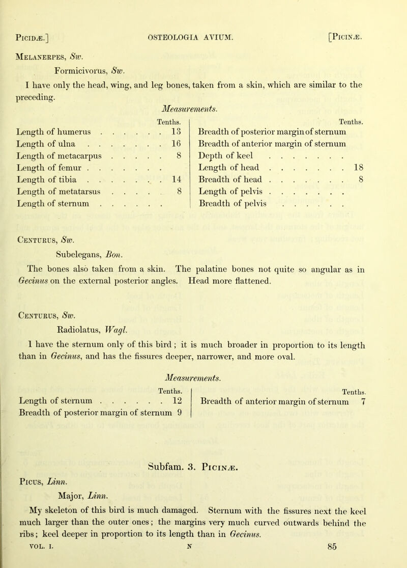 Melanerpes, Sw. Formicivorus, Sw. I have only the head, wing, and leg bones, taken from a skin, which are similar to the preceding. Measurements. Tenths. Length of humerus 13 Length of ulna 16 Length of metacarpus 8 Length of femur Length of tibia 14 Length of metatarsus .... 8 Length of sternum Tenths. Breadth of posterior margin of sternum Breadth of anterior margin of sternum Depth of keel Length of head 18 Breadth of head 8 Length of pelvis Breadth of pelvis Centurus, Sw. Subelegans, Bon. The bones also taken from a skin. The palatine bones not quite so angular as in Gecinus on the external posterior angles. Head more flattened. Centurus, Sw. Radiolatus, Wagl. 1 have the sternum only of this bird; it is much broader in proportion to its length than in Gecinus, and has the fissures deeper, narrower, and more oval. Measurements. Tenths. Tenths. Length of sternum 12 Breadth of anterior margin of sternum 7 Breadth of posterior margin of sternum 9 Subfam. 3. Picina:. Picus, Linn. Major, Linn. My skeleton of this bird is much damaged. Sternum with the fissures next the keel much larger than the outer ones; the margins very much curved outwards behind the ribs; keel deeper in proportion to its length than in Gecinus.