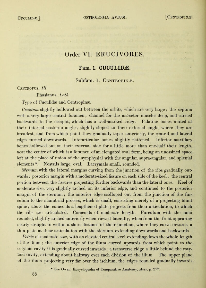 Order VI. ERUCIVORES. Fam. 1. CUCTJLID^J. Subfam. 1. Centropinac. Centropus, III. Phasianus, Lath. Type of Cuculidse and Centropinse. Cranium slightly hollowed out between the orbits, which are very large; the septum with a very large central foramen; channel for the masseter muscles deep, and carried backwards to the occiput, which has a well-marked ridge. Palatine bones united at their internal posterior angles, slightly sloped to their external angle, where they are broadest, and from which point they gradually taper anteriorly, the central and lateral edges turned downwards. Interarticular bones slightly flattened. Inferior maxillary bones hollowed out on their external side for a little more than one-half their length, near the centre of which is a foramen of an elongated oval form, being an unossified space left at the place of union of the symphysial with the angular, supra-angular, and splenial elements *. Nostrils large, oval. Lacrymals small, rounded. Sternum with the lateral margins curving from the junction of the ribs gradually out- wards ; posterior margin with a moderate-sized fissure on each side of the keel; the central portion between the fissures projecting further backwards than the lateral ones. Keel of moderate size, very slightly arched on its inferior edge, and continued to the posterior margin of the sternum; the anterior edge scolloped out from the junction of the fur- culum to the manubrial process, which is small, consisting merely of a projecting blunt spine; above the coracoids a lengthened plate projects from their articulation, to which the ribs are articulated. Coracoids of moderate length. Furculum with the rami rounded, slightly arched anteriorly when viewed laterally, when from the front appearing nearly straight to within a short distance of their junction, where they curve inwards, a thin plate at their articulation with the sternum extending downwards and backwards. Pelvis of moderate size, with an elevated central keel extending down the whole length of the ilium; the anterior edge of the ilium curved upwards, from which point to the cotyloid cavity it is gradually curved inwards; a transverse ridge a little behind the coty- loid cavity, extending about halfway over each division of the ilium. The upper plane of the ilium projecting very far over the ischium, the edges rounded gradually inwards * See Owen, Encyclopaedia of Comparative Anatomy, Aves, p. 277.