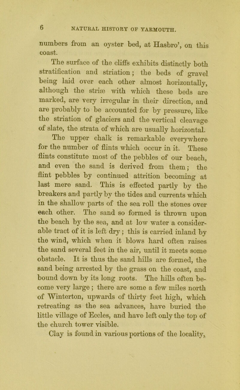 numbers from an oyster bed, at Hasbro’, on this coast. The surface of tbe cliffs exhibits distinctly both stratification and striation j the beds of gravel being laid over each other almost horizontally, although the striae with which these beds are marked, are very irregular in their direction, and are probably to be accoimted for by pressure, hke the striation of glaciers and the vertical cleavage of slate, the strata of which are usually horizontal. The upper chalk is remarkable everywhere for the number of flints which occur in it. These flints constitute most of the pebbles of our beach, and even the sand is derived from them; the flint pebbles by continued attrition becoming at last mere sand. This is effected partly by the breakers and partly by the tides and currents which in the shallow parts of the sea roll the stones over each other. The sand so formed is thrown upon the beach by the sea, and at low water a consider- able tract of it is left dry ; this is carried inland by the wind, which when it blows hard often raises the sand several feet in the air, until it meets some obstacle. It is thus the sand hills are formed, the sand being arrested by the grass on the coast, and bound down by its long roots. The hills often be- come very large ; there are some a few miles north of Winterton, upwards of thirty feet high, which retreating as the sea advances, have buried the little village of Eccles, and have left only the top of the church tower visible. Clay is found in various portions of the locahty,