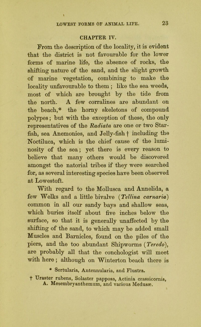 CHAPTER IV. From tlie description of the locality, it is evident that the district is not favourable for the lower forms of marine life, the absence of rocks, the shifting natm-e of the sand, and the slight growth of marine vegetation, combining to make the locality unfavourable to them ; hke the sea weeds, most of which are brought by the tide from the north. A few corralines are abundant on the beach,* the horny skeletons of compound polypes; but with the exception of these, the only representatives of the Radiata are one or two Star- fish, sea Anemonies, and Jelly-fish f including the Noctiluca, which is the chief cause of the lumi- nosity of the sea; yet there is every reason to believe that many others would be discovered amongst the natorial tribes if they were searched for, as several interesting species have been observed at Lowestoft. With regard to the MoUusca and Annelida, a few Welks and a little bivalve {Tellina carnaria) common in all our sandy bays and shallow seas, which buries itself about five inches below the surface, so that it is generally unaffected by the shifting of the sand, to which may be added small Muscles and Barnicles, found on the piles of the piers, and the too abundant Shipworms {Teredo)^ are probably all that the conchologist will meet with here ; although on Winterton beach there is * Sertularia, Antennularia, and Flustra. t Uraster rubens, Solaster papposa, Actinia crassicornis, A. Mesembryanthemum, and various Medusse.