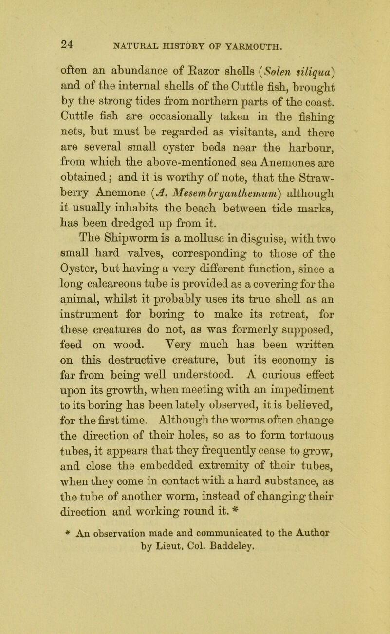 often an abundance of Eazor shells {Solen siliqua) and of the internal shells of the Cuttle fish, brought by the strong tides from northern parts of the coast. Cuttle fish are occasionally taken in the fishing nets, but must be regarded as visitants, and there are several small oyster beds near the harbour, from which the above-mentioned sea Anemones are obtained; and it is worthy of note, that the Straw- berry Anemone (^. Mesembryanthemum) although it usually inhabits the beach between tide marks, has been dredged up from it. The Shipworm is a mollusc in disguise, with two small hard valves, corresponding to those of the Oyster, but having a very difi’erent function, since a long calcareous tube is provided as a covering for the animal, whilst it probably uses its true shell as an instrument for boring to make its retreat, for these creatures do not, as was formerly supposed, feed on wood. Yery much has been written on this destructive creature, but its economy is far from being well understood. A curious effect upon its growth, when meeting with an impediment to its boring has been lately observed, it is beheved, for the first time. Although the worms often change the direction of their holes, so as to form tortuous tubes, it appears that they frequently cease to grow, and close the embedded extremity of their tubes, when they come in contact with a hard substance, as the tube of another worm, instead of changing their direction and working round it. * ♦ An observation made and communicated to the Author by Lieut. Col. Baddeley.