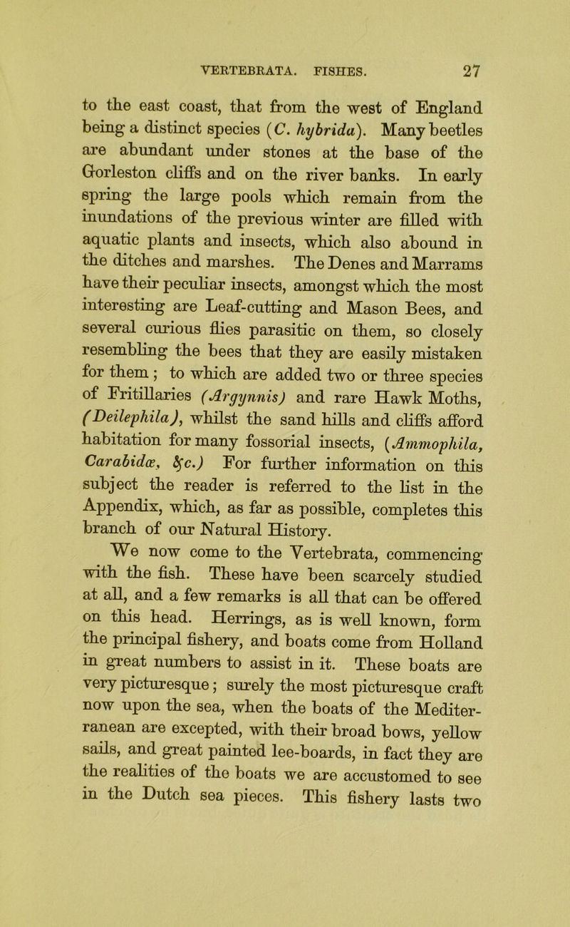 to the east coast, that from the west of England being a distinct species (C. hybrida). Many beetles ai’e abundant under stones at the base of the Gorleston cKffs and on the river banks. In early spring the large pools which remain from the inimdations of the previous winter are filled with aquatic plants and insects, which also abound in the ditches and marshes. The Denes and Marrams have their peculiar insects, amongst which the most interesting are Leaf-cutting and Mason Bees, and several curious flies parasitic on them, so closely resembling the bees that they are easily mistaken for them ; to which are added two or three species of Fritillaries (Argynnis) and rare Hawk Moths, (Deilephila)^ whilst the sand hills and cliffs afford habitation for many fossorial insects, {^Ammophila, Car abides, ^c.) For further information on this subject the reader is referred to the list in the Appendix, which, as far as possible, completes this branch of our Natural History. We now come to the Yertebrata, commencing with the fish. These have been scarcely studied at aU, and a few remarks is all that can be offered on this head. Herrings, as is well known, form the principal fishery, and boats come from Holland in great numbers to assist in it. These boats are very picturesque; surely the most picturesque craft now upon the sea, when the boats of the Mediter- ranean are excepted, with their broad bows, yellow sails, and great painted lee-boards, in fact they are the realities of the boats we are accustomed to see in the Dutch sea pieces. This fishery lasts two