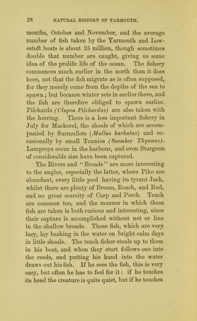 months, October and November, and the average niunber of fish taken by the Yarmouth and Low- estoft boats is about 25 million, though sometimes double that number are caught, giving us some idea of the prolific life of the ocean. The fishery commences much earlier in the north than it does here, not that the fish migrate as is often supposed, for they merely come from the depths of the sea to spawn ; but because winter sets in earlier there, and the fish are therefore obliged to spawn earlier. Pilchards (Clupea Pilchardus) are also taken with the herring. There is a less important fishery in July for Mackerel, the shoals of which are accom- panied by Surmullets [Mullus harbatus) and oc- casionally by small Tunnies (Scomber Thynnus). Lampreys occur in the harbour, and even Stui’geon of considerable size have been captured. TheEivers and “Broads” are more interesting to the angler, especially the latter, where Pike are abundant, every little pool having its tyrant Jack, whilst there are plenty of Bream, Poach, and End, and no great scarcity of Carp and Perch. Tench are common too, and the manner in which these fish are taken is both curious and interesting, since their capture is accomplished without net or line in the shallow broads. These fish, which are very lazy, lay basking in the water on bright calm days in little shoals. The tench fisher steals up to them in his boat, and when they start follows one into the reeds, and putting his hand into the water draws out his fish. Lf he sees the fish, this is very easy, but often he has to feel for it: if he touches its head the creatui'e is quite quiet, but if he touches