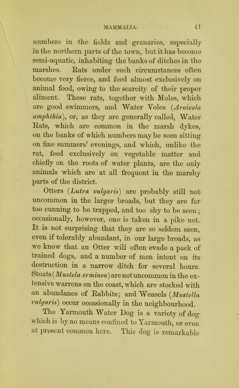 miinbors in the fields and granaries, especially in the northern parts of the town, hut it has beconie semi-aquatic, inhabiting the banks of ditches in the marshes. Rats under such cii’cumstances often become very fierce, and feed almost exclusively on animal food, owing to the scarcity of their proper aliment. These rats, together with Moles, which are good swimmers, and Water Voles {Arvicola amphibia), or, as they are generally called. Water Rats, which are common in the marsh dykes, on the banks of which numbers may be seen sitting on fine summers’ evenings, and which, unlike the rat, feed exclusively on vegetable matter and chiefly on the roots of water plants, are the only animals which are at all frequent in the marshy parts of the district. Otters {Lutra vulgaris) are probably still not imcommon in the larger broads, but they are far too cunning to be trapped, and too shy to be seen; occasionally, however, one is taken in a pike not. It is not surprising that they are so seldom seen, even if tolerably abundant, in our large broads, as we know that an Otter will often evade a pack of trained dogs, and a number of men intent on its destruction in a narrow ditch for several hours, fetoats (Mws/e/a ^rmmea)arenotuncommonintho ex- tensive warrens on the coast, which are stocked with an abundance of Rabbits; and Weasels vulgaris) occur occasionally in the neighbourhood. The Yarmouth Water Dog is a variety of dog which is by no means confined to Yarmouth, or even at present common here. This dog is remarkable