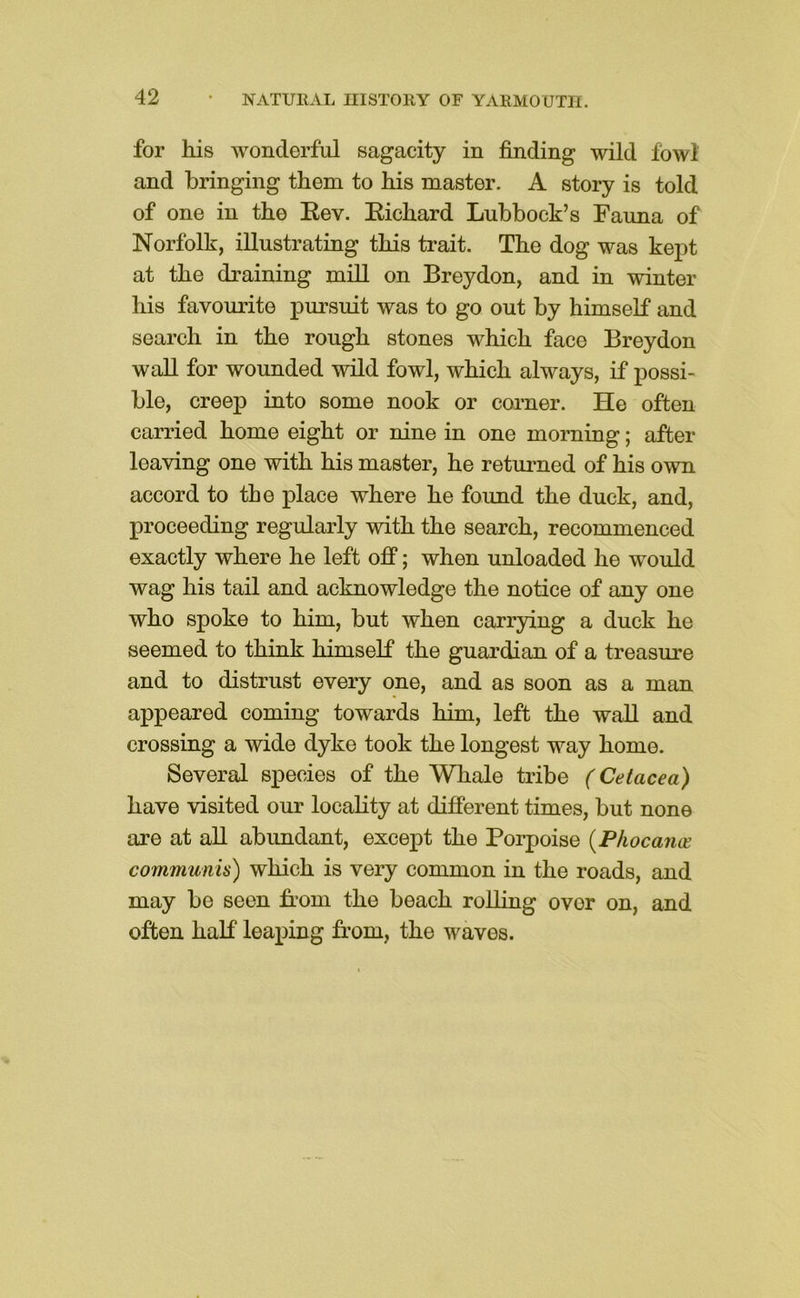 for his wonderful sagacity in finding wild fowl and bringing them to his master. A story is told of one in the Eev. Eichard Lubbock’s Fauna of Norfolk, illustrating this trait. The dog was kej)t at the draining mill on Breydon, and in winter his favourite pursuit was to go out by himseK and search in the rough stones which face Breydon waU for wounded wHd fowl, which always, if possi- ble, creep into some nook or corner. He often carried home eight or nine in one morning; after leaving one with his master, he returned of his own accord to the place where he found the duck, and, proceeding regularly with the search, recommenced exactly where he left off; when unloaded he would wag his tail and acknowledge the notice of any one who spoke to him, but when carrying a duck he seemed to think himself the guardian of a treasure and to distrust every one, and as soon as a man appeared coming towards him, left the wall and crossing a wide dyke took the longest way home. Several species of the Whale tribe (Cetacea) have visited our locality at different times, but none are at all abimdant, except the Porpoise {Phocanee communis) which is very common in the roads, and may bo seen from the beach rolling over on, and often half leaping from, the waves.