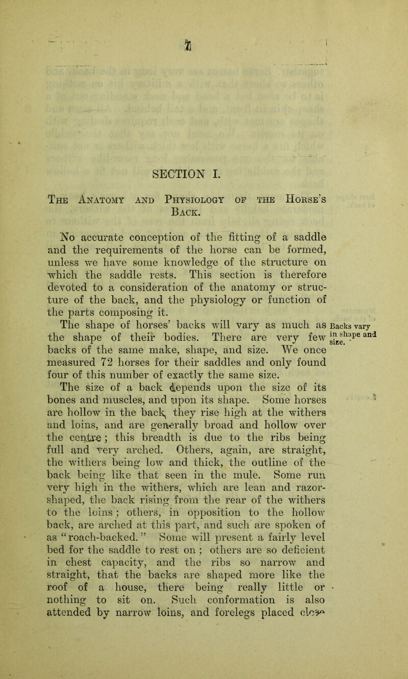 % SECTION I. The Anatomy and Physiology op the Horse’s Back. No accurate conception of the fitting of a saddle and the requirements of the horse can be formed, unless we have some knowledge of the structure on which the saddle rests. This section is therefore devoted to a consideration of the anatomy or struc- ture of the back, and the physiology or function of the parts composing it. The shape of horses’ backs will vary as much as Backs vary the shape of their bodies. There are very few gKeh?pe and backs of the same make, shape, and size. We once measured 72 horses for their saddles and only found four of this number of exactly the same size. The size of a back depends upon the size of its bones and muscles, and uipon its shape. Some horses are hollow in the back, they rise high at the withers and loins, and are generally broad and hollow over the centre; this breadth is due to the ribs being full and very arched. Others, again, are straight, the withers being low and thick, the outline of the back being like that seen in the mule. Some run very high in the withers, which are lean and razor- shaped, the back rising from the rear of the withers to the loins; others, in opposition to the hollow back, are arched at this part, and such are spoken of as “roach-backed.” Some will present a fairly level bed for the saddle to rest on; others are so deficient in chest capacity, and the ribs so narrow and straight, that the backs are shaped more like the roof of a house, there being really little or ■ nothing to sit on. Such conformation is also attended by narrow loins, and forelegs placed ole&*