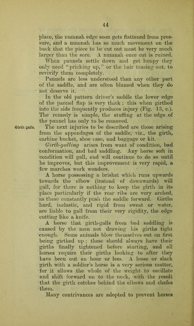 Girth galls. place, the numnah edge soon gets flattened from pres- sure, and a numnah has so much movement on the back that the piece to be cut out must be very much larger than the sore. A numnah once cut is ruined. When pannels settle down and get lumpy they only need “pricking up,” or the hair teasing out, to revivify them completely. Pannels are less understood than any other part of the saddle, and are often blamed when they do not deserve it. In the old pattern driver’s saddle the lower edge of the pannel flap is very thick ; this when girthed into the side frequently produces injury (Fig. 13, c.). The remedy is simple, the stuffing at the edge of the pannel has only tO' be removed. The next injuries to be described are those arising from the appendages of the saddle, viz., the girth, carbine bucket, shoe case, and baggage or kit. Girth-galling arises from want of condition, bad conformation, and bad saddling. Any horse soft in condition will gall, and will continue to do so until he improves, but this improvement is very rapid, a few marches work wonders. A horse possessing a brisket which runs upwards towards the elbow (instead of downwards) will gall, for there is nothing to keep the girth in its place particularly if the rear ribs are veiy arched, as these constantly push the saddle forward. Girths hard, inelastic, and rigid from sweat or water, are liable tot gall from their very rigidity, the edge cutting like a knife. A horse that girth-galls from bad saddling is caused by the man not drawing his girths tight enough. Some animals blow themselves out on first being girthed up; these should always have their girths finally tightened before starting, and all horses require their girths looking to after they have been out an hour or less. A loose or slack girth with a soldier’s horse is a very serious matter, for it allows the whole of the weight to oscillate and shift forward on to the neck, with the result that the girth catches behind the elbows and chafes them. Many contrivances are adopted to prevent horses