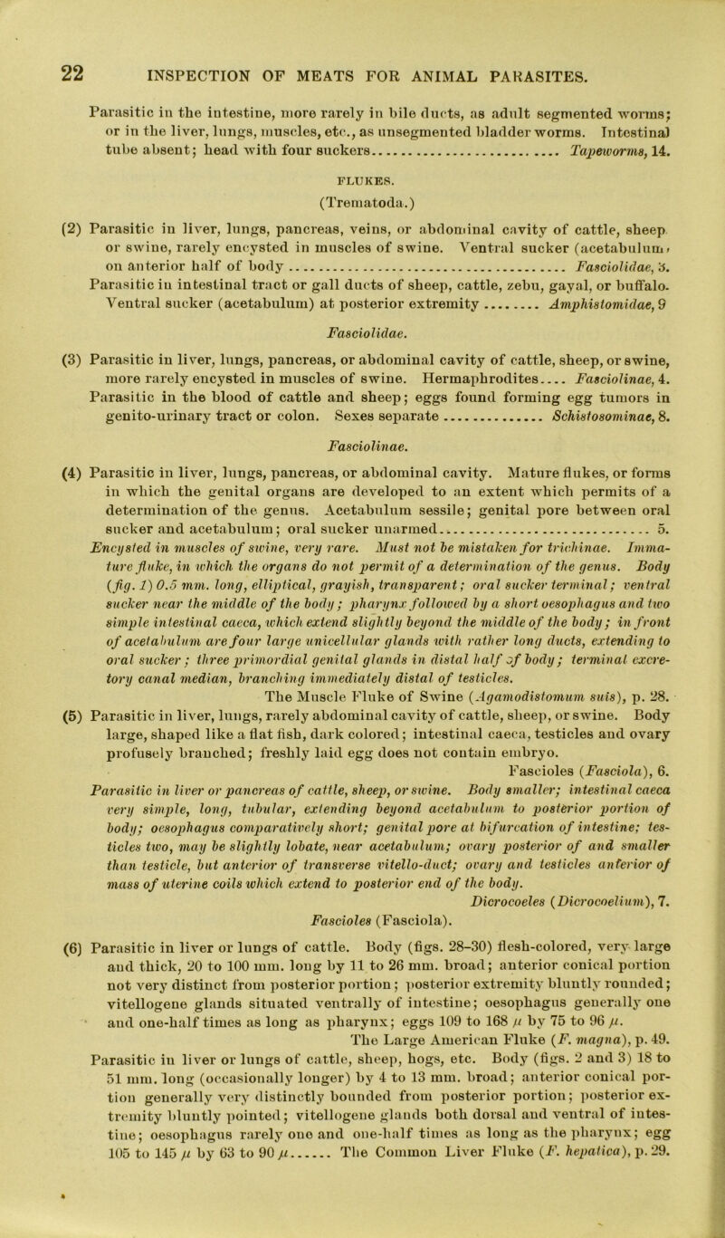 Parasitic in the intestine, more rarely in bile ducts, as adult segmented worms; or in the liver, lungs, muscles, etc., as unsegmented bladder worms. Intestinal tube absent; head with four suckers Tapeworms, 14. FLUKES. (Trematoda.) (2) Parasitic in liver, lungs, pancreas, veins, or abdominal cavity of cattle, sheep or swine, rarely encysted in muscles of swine. Ventral sucker (acetabulum > on anterior half of body Fasciolidae, '6. Parasitic in intestinal tract or gall ducts of sheep, cattle, zebu, gayal, or buffalo. Ventral sucker (acetabulum) at posterior extremity Amphistomidae, 9 Fasciolidae. (3) Parasitic in liver, lungs, pancreas, or abdominal cavity of cattle, sheep, or swine, more rarely encysted in muscles of swine. Hermaphrodites Fasciolinae, 4. Parasitic in the blood of cattle and sheep; eggs found forming egg tumors in genito-urinary tract or colon. Sexes separate Schistosominac, 8. Fasciolinae. (4) Parasitic in liver, lungs, pancreas, or abdominal cavity. Mature flukes, or forms in which the genital organs are developed to an extent which permits of a determination of the genus. Acetabulum sessile; genital pore between oral sucker and acetabulum; oral sucker unarmed.. 5. Encysted in muscles of swine, very rare. Must not he mistaken for trichinae. Imma- ture fluke, in which the organs do not permit of a determination of the genus. Body {fig. 1) 0.5 mm. long, elliptical, grayish, transparent; oral sucker terminal; ventral sucker near the middle of the body ; pharynx foiloived by a short oesophagus and two simple intestinal caeca, ivhichextend slightly beyond the middle of the body ; in front of acetabulum are four large unicellular glands with rather long ducts, extending to oral sucker ; three primordial genital glands in distal half of body ; terminal excre- tory canal median, branching immediately distal of testicles. The Muscle Fluke of Swine (Agamodistomum suis), p. 28. (5) Parasitic in liver, lungs, rarely abdominal cavity of cattle, sheep, or swine. Body large, shaped like a flat fish, dark colored; intestinal caeca, testicles and ovary profusely branched; freshly laid egg does not contain embryo. Fascioles (Fasciola), 6. Parasitic in liver or pancreas of cattle, sheep, or swine. Body smaller; intestinal caeca very simple, long, tubular, extending beyond acetabulum to posterior portion of body; oesophagus comparatively short; genital pore at bif urcation of intestine; tes- ticles two, may be slightly lobate, near acetabulum; ovary posterior of and smaller than testicle, but anterior of transverse vitello-duct; ovary and testicles anterior of mass of uterine coils which extend to posterior end of the body. Dicrocoeles (Dicrocoelium), 7. Fascioles (Fasciola). (6) Parasitic in liver or lungs of cattle. Body (figs. 28-30) flesh-colored, very large and thick, 20 to 100 mm. long by 11 to 26 mm. broad; anterior conical portion not very distinct from posterior portion ; posterior extremity bluntly rounded; vitellogene glands situated ventrally of intestine; oesophagus generally one and one-half times as long as pharynx; eggs 109 to 168 ju by 75 to 96 ju. The Large American Fluke (F. magna), p. 49. Parasitic in liver or lungs of cattle, sheep, hogs, etc. Body (figs. 2 and 3) 18 to 51 mm. long (occasionally longer) by 4 to 13 mm. broad; anterior conical por- tion generally very distinctly bounded from posterior portion; posterior ex- tremity bluntly pointed; vitellogene glands both dorsal and ventral of intes- tine; oesophagus rarely one and one-half times as long as the pharynx; egg 105 to 145 p by 63 to 90 p The Common Liver Fluke (F. hepatica), p. 29.