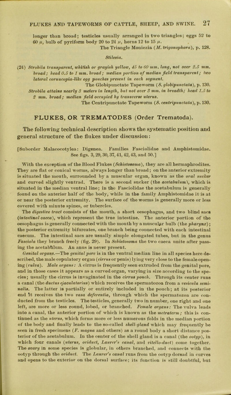 longer than broad; testicles usually arranged in two triangles; eggs 52 to 60 u, bulb of pyriform body 20 to 24 /i, horns 12 to 15 /1. The Triangle Moniezia (M. trigonophora), p. 128. Stilesia. (24) Slrobila transparent, whitish or grayish yellow, 45 to 60 mm. long, not over 2.5 mm. broad; head 0.5 to 1 mm. broad ; median portion of median field transparent; two lateral cornucopia-like egg pouches present in each segment. The Globipunctate Tapeworm (S. globipunctata), p. 130. Strobila attains nearly 3 meters in length, but not over 3 mm. in breadth; head 1.5 to 2 mm. broad; median field occupied by transverse uterus. The Centripunctate Tapeworm (S. centripunctata), p. 130. FLUKES, OR TREMATODES (Order Trematoda). The following technical description shows the systematic position and general structure of the flukes under discussion: [Suborder Malacocotylea: Digenea. Families Fasciolidae and Amphistomidae. See figs. 3, 29, 30, 37, 41, 42, 43, and 50.] With the exception of the Blood Flukes (Schistosoma), they are all hermaphrodites. They are flat or conical worms, always longer than broad; on the anterior extremity is situated the mouth, surrounded by a muscular organ, known as the oral sucker and curved slightly ventrad. There is a second sucker (the acetabulum), which is situated in the median ventral line; in the Fasciolidae the acetabulum is generally found on the anterior half of the body, Avhile in the family Amphistomidae it is at or near the posterior extremity. The surface of the worms is generally more or less covered with minute spines, or tubercles. The digestive tract consists of the mouth, a short oesophagus, and two blind sacs (intestinal caeca), which represent the true intestine. The anterior portion of the oesophagus is generally connected with the mouth by a muscular bulb (the pharynx); the posterior extremity bifurcates, one branch being connected with each intestinal caecum. The intestinal sacs are usually simple elongated tubes, but in the genus Fasciola they branch freely (fig. 29). In Schistosoma the two caeca unite after pass- ing the acetabhlum. An anus is never present. Genital organs.—The genital pore is in the ventral median line in all species here de- scribed, the male copulatory organ (cirrus or penis) lying very close to the female open- ing (vulva). Male organs: A cirrus is frequently seen extruded from the genital pore, and in those cases it appears as a curved organ, varying in size according to the spe- cies; usually the cirrus is invaginated in the cirrus pouch. Through its center runs a canal (the ductus ejaculatorius) which receives the spermatozoa from a vesicula semi- nalis. The latter is partially or entirely included in the pouch; at its posterior end 5t receives the two vasa deferentia, through which the spermatozoa are con- ducted from the testicles. The testicles, generally two in number, one right and one left, are more or less round, lobed, or branched. Female organs: The vulva leads into a canal, the anterior portion of which is known as the metraterm; this is con- tinued as the uterus, which forms more or less numerous folds in the median portion of the body and finally leads to the so-called shell-gland which may frequently be seen in fresh specimens (F. magna and others) as a round body a short distance pos- terior of the acetabulum. In the center of the shell gland is a canal (the ootyp), in which four canals (uterus, oviduct, Laurer’s canal, and vitello-duct) come together. The ovary in some species is globular, in others branched, and connects with the ootyp through the oviduct. The Laurer’s canal runs from the ootyp dorsad in curves and opens to the exterior on the dorsal surface; its function is still doubtful, but
