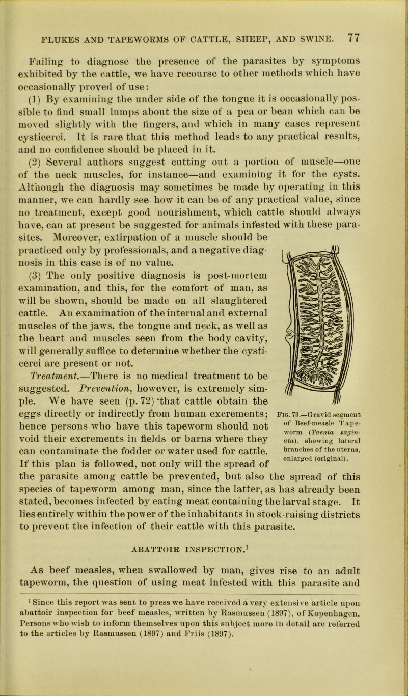 Failing to diagnose the presence of the parasites by symptoms exhibited by the cattle, we have recourse to other methods which have occasionally proved of use: (1) By examining the under side of the tongue it is occasionally pos- sible to find small lumps about the size of a pea or bean which can be moved slightly with the fingers, and which in many cases represent cysticerci. It is rare that this method leads to any practical results, and no confidence should be placed in it. (2) Several authors suggest cutting out a portion of muscle—one of the neck muscles, for instance—and examining it for the cysts. Although the diagnosis may sometimes be made by operating in this manner, we can hardly see how it can be of any practical value, since no treatment, except good nourishment, which cattle should always have, can at present be suggested for animals infested with these para- sites. Moreover, extirpation of a muscle should be practiced only by professionals, and a negative diag- nosis in this case is of no value. (3) The only positive diagnosis is post-mortem examination, and this, for the comfort of man, as will be shown, should be made on all slaughtered cattle. An examination of the internal and external muscles of the jaws, the tongue and neck, as well as the heart and muscles seen from the body cavity, will generally suffice to determine whether the cysti- cerci are present or not. Treatment.—There is no medical treatment to be suggested. Prevention, however, is extremely sim- ple. We have seen (p. 72) ’that cattle obtain the eggs directly or indirectly from human excrements$ hence persons who have this tapeworm should not void their excrements in fields or barns where they can contaminate the fodder or water used for cattle. If this plan is followed, not only will the spread of the parasite among cattle be prevented, but also the spread of this species of tapeworm among man, since the latter, as has already been stated, becomes infected by eating meat containing the larval stage. It lies entirely within the power of the inhabitants in stock-raising districts to prevent the infection of their cattle with this parasite. Fig. 73.—Gravid segment of Beef-measle Tape- worm (Taenia sagin- ata), showing lateral branches of the uterus, enlarged (original). ABATTOIR INSPECTION.1 As beef measles, when swallowed by man, gives rise to an adult tapeworm, the question of using meat infested with this parasite and 1 Since this report was sent to press we have received a very extensive article upon abattoir inspection for beef measles, written by Rasmussen (1897), of Ivopenhagen. Persons who wish to inform themselves upon this subject more in detail are referred to the articles by Rasmussen (1897) and Friis (1897).