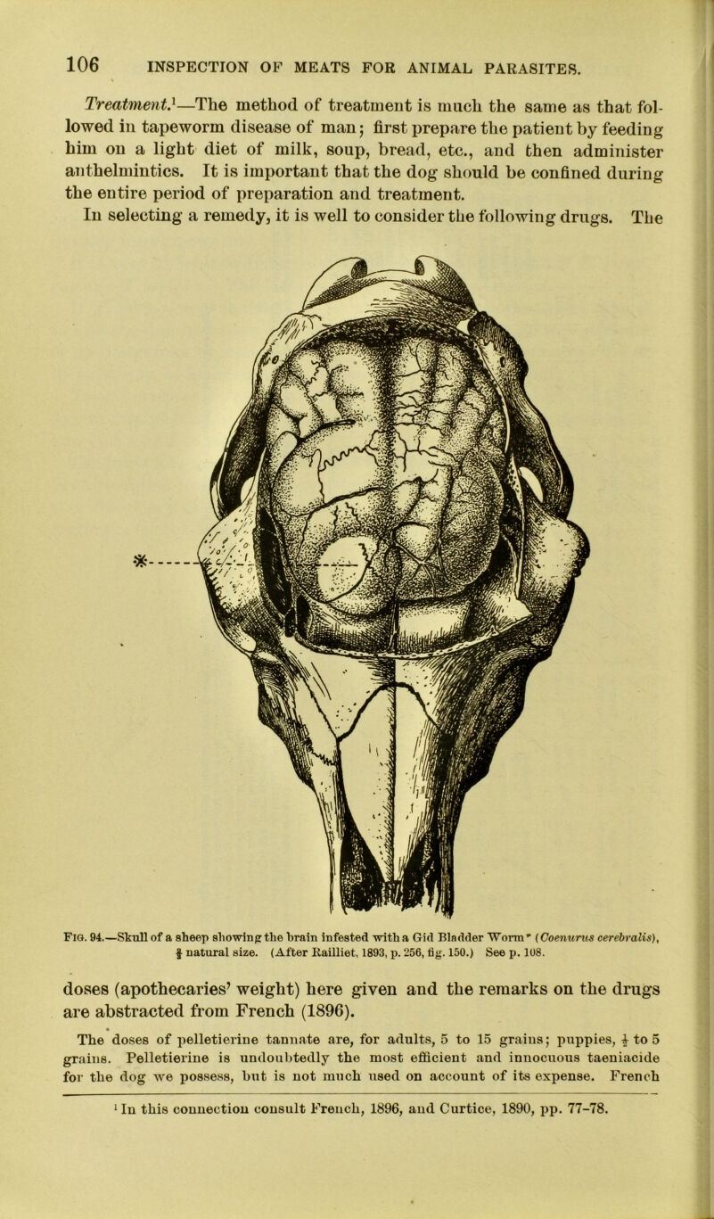 % Treatment.1—The method of treatment is much the same as that fol- lowed in tapeworm disease of man; first prepare the patient by feeding him on a light diet of milk, soup, bread, etc., and then administer anthelmintics. It is important that the dog should be confined during the entire period of preparation and treatment. In selecting a remedy, it is well to consider the following drugs. The Fig. 94.—Skull of a sheep showing the brain infested with a Gid Bladder Worm’ (Coenurus cerebralis), $ natural size. (After Railliet, 1893, p. 256, tig. 150.) See p. 108. doses (apothecaries’ weight) here given and the remarks on the drugs are abstracted from French (1896). The doses of pelletierine tannate are, for adults, 5 to 15 grains; puppies, ^ to 5 grains. Pelletierine is undoubtedly the most efficient and innocuous taeniacide for the dog we possess, but is not much used on account of its expense. French 1 In this connection consult French, 1896, and Curtice, 1890, pp. 77-78.