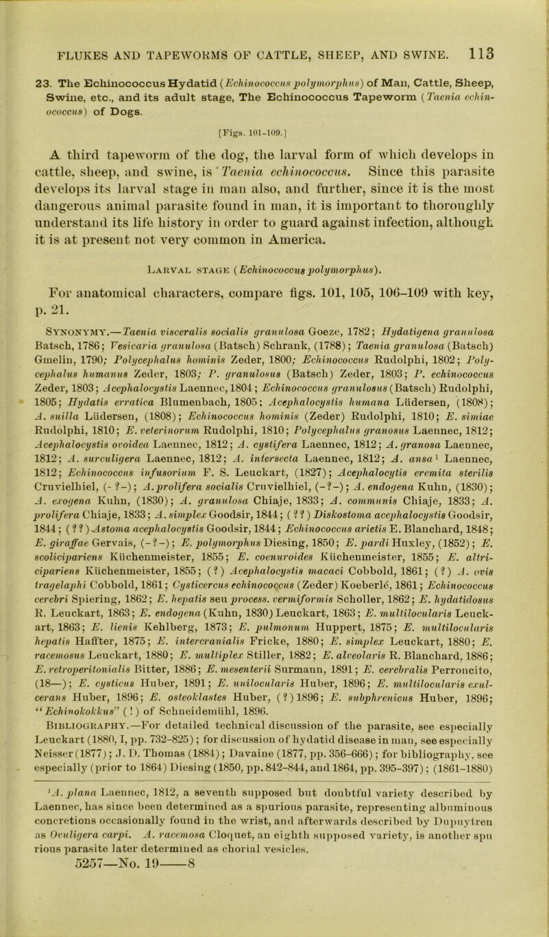 23. The Echinococcus Hydatid (Echinococcus polymorplius) of Man, Cattle, Sheep, Swine, etc., and its adult stage, The Echinococcus Tapeworm (Taenia echin- ococcus) of Dogs. [Figs. 101-109.] A third tapeworm of the dog, the larval form of which develops in cattle, sheep, and swine, is'Taenia echinococcus. Since this parasite develops its larval stage in man also, and further, since it is the most dangerous animal parasite found in man, it is important to thoroughly understand its life history in order to guard against infection, although it is at present not very common in America. Larval stage (Echinococcuspolymorph us). For anatomical characters, compare figs. 101, 105, 106-109 with key, p. 21. Synonymy.—Taenia visceralis socialis granulosa Goeze, 1782; Hydatigena granulosa Batsch, 1786; Fesicaria granulosa (Batsch) Schrank, (1788); Taenia granulosa (Batsch) Gmelin, 1790; Polycephalus hominis Zecler, 1800; Echinococcus Rudolphi, 1802; Poly- cephalus humanus Zeder, 1803; P. granulosus (Batsch) Zeder, 1803; P. echinococcus Zeder, 1803; Acephalocystis Laennec, 1801; Echinococcus granulosus (Batsch) Rudolphi, 1805; Hydatis erratica Blumenbach, 1805; Acephalocystis humana Liidersen, (1808); A. suilla Liidersen, (1808); Echinococcus hominis (Zeder) Rudolphi, 1810; E. simiae Rudolphi, 1810; E. veterinorum Rudolphi, 1810; Polycephalus granosus Laennec, 1812; Acephalocystis ovoidea Laennec, 1812; A. cystifera Laennec, 1812; A. granosa Laennec, 1812; A. surculigera Laennec, 1812; A. inter secta Laennec, 1812; A. ansa1 Laennec, 1812; Echinococcus infusorium F. S. Leuckart, (1827); Acephalocytis eremita sterilis Cruvielhiel, (- ?-); A.prolifera socialis Cruvielhiel, (-?-); A. endogena Kuhn, (1830); A. exogena Kuhn, (1830); A. granulosa Chiaje, 1833; A. communis Chiaje, 1833; A. prolifera Chiaje, 1833; A. simplex Goodsir, 1844; ( ? ?) DisJcostoma acephalocystis Goodsir, 1844; (? ?) Astoma acephalocystis Goodsir, 1844; Echinococcus arietis E. Blanchard, 1848; E. giraffae Gervais, (-?-); E. polymorplius Diesing, 1850; E. parcli Huxley, (1852); E. scolicipariens Kiichenmeister, 1855; E. coenuroides Kiichenmeister, 1855; E. altri- cipariens Kiichenmeister, 1855; (?) Acephalocystis macaci Cobbold, 1861; (?) A. avis tragelaphi Cobbold, 1861; Cysticercus echinococcus (Zeder) Koeberl6,1861; Echinococcus cerebri Spiering, 1862; E. hepatis sen process, vermiformis Scholler, 1862; E. hydatidosus R. Leuckart, 1863; E. endogena (Kuhn, 1830) Leuckart, 1863; E. multilocularis Leuck- art, 1863; E. lienis Ivehlberg, 1873; E. pulmonum Huppert, 1875; E. multilocularis hepatis Haffter, 1875; E. intercranialis Fricke, 1880; E. simplex Leuckart, 1880; E. racemosus Leuckart, 1880; E. multiplex Stiller, 1882; E. alveolaris R. Blanchard. 1886; E. retroperitonialis Bitter, 1886; E. mesenterii Surmann, 1891; E. cercbralis Perroncito, (18—); E. cysticus Huber, 1891; E. unilocularis Huber, 1896; E. multilocularis exul- cer an s Huber, 1896; E. osteolclastes Huber, (?) 1896; E. subphrenicus Huber, 1896; “ Echinolcoklcus” (!) of Schneidemiihl, 1896. Bibliography.—For detailed technical discussion of the parasite, see especially Leuckart (1880,1, pp. 732-825); for discussion of hydatid disease in man, see especially Neisser (1877); .T. D. Thomas (1884); Davaine (1877, pp. 356-666); for bibliography, see especially (prior to 1864) Dicsing (1850, pp. 842-844, and 1864, pp. 395-397); (1861-1880) ‘A. plana Laennec, 1812, a seventh supposed but doubtful variety described by Laennec, has since been determined as a spurious parasite, representing albuminous concretions occasionally found in the wrist, and afterwards described by Dupuytreu as Ovuligera carpi. A. racemosa Cloquet, an eighth supposed variety, is another spu rious parasite later determined as chorial vesicles. 5257—No. 19 8